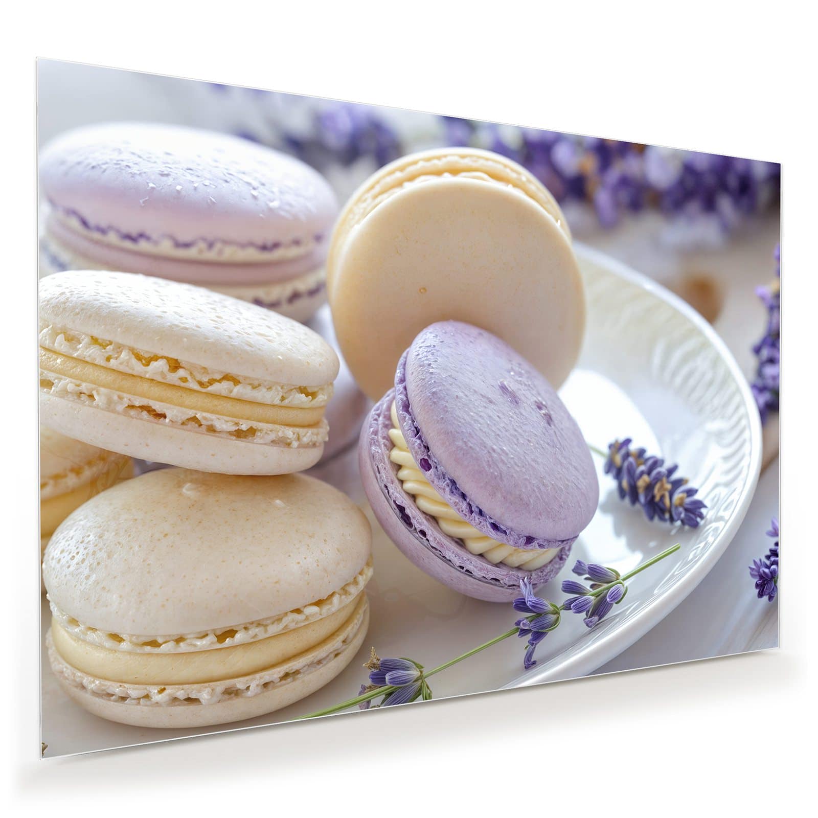 #grösse_100 x 70 cm