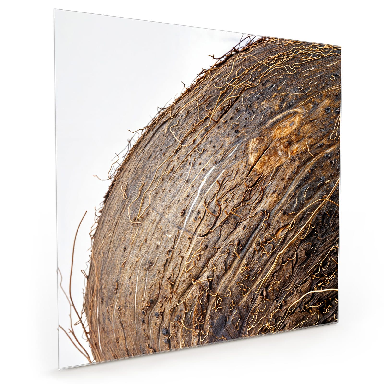 #70 x 70 cm_