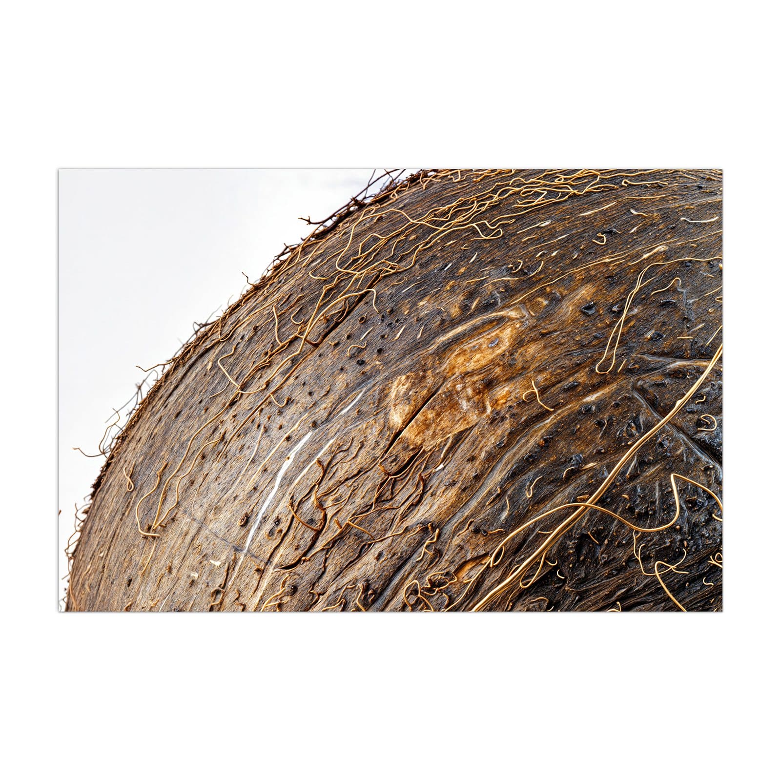 #grösse_40 x 60 cm #grösse_50 x 75 cm #grösse_60 x 90 cm #grösse_80 x 120 cm