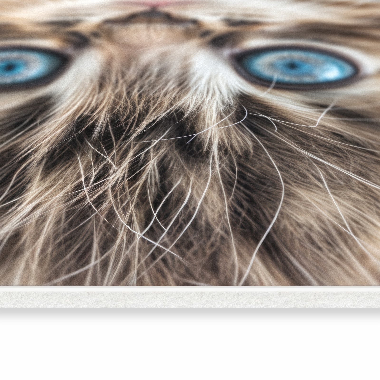 Abriebfester rutschfester Küchenläufer mit Motiv Blaue Augen Kätzchen in seitlicher Ansicht