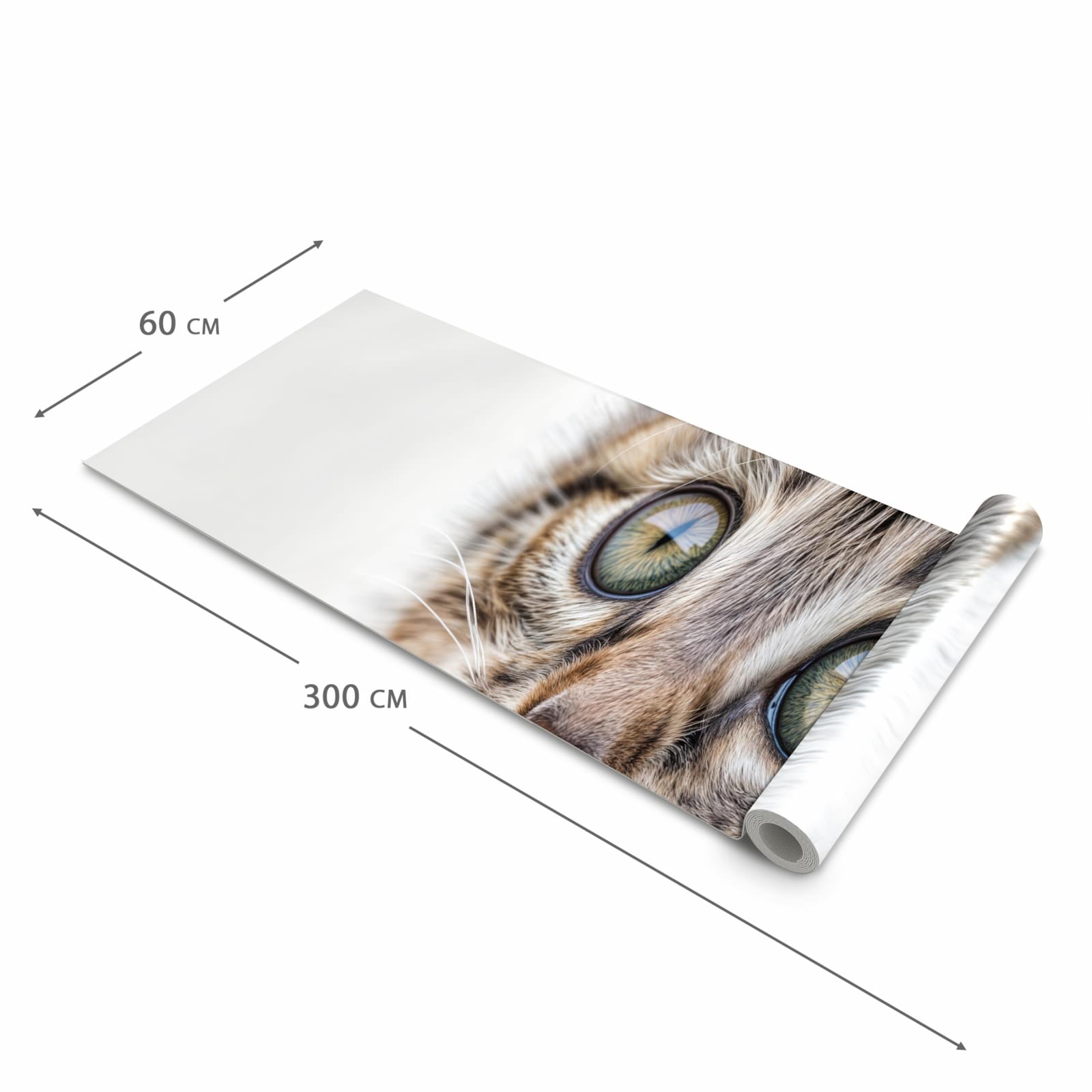 Flacher Küchenteppich mit Motiv Katzenjunges trittin in der Grösse 60x150 cm