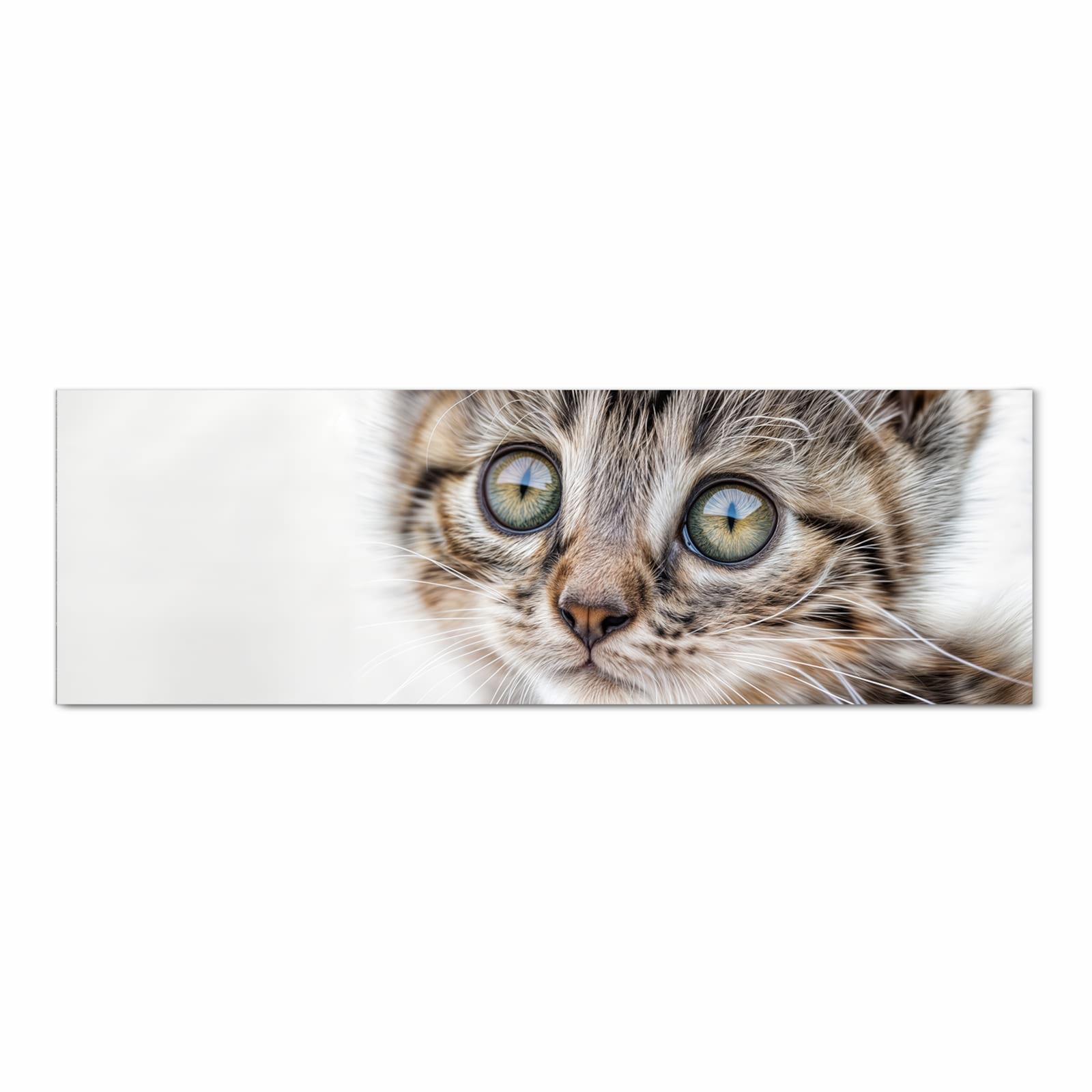 Bodenschonender Küchenteppich mit Motiv Katzenjunges trittin in Frontansicht