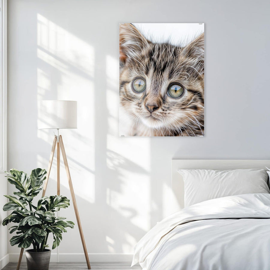 Maße Wandbild - Neugieriges Katzenjunges - Hochformat