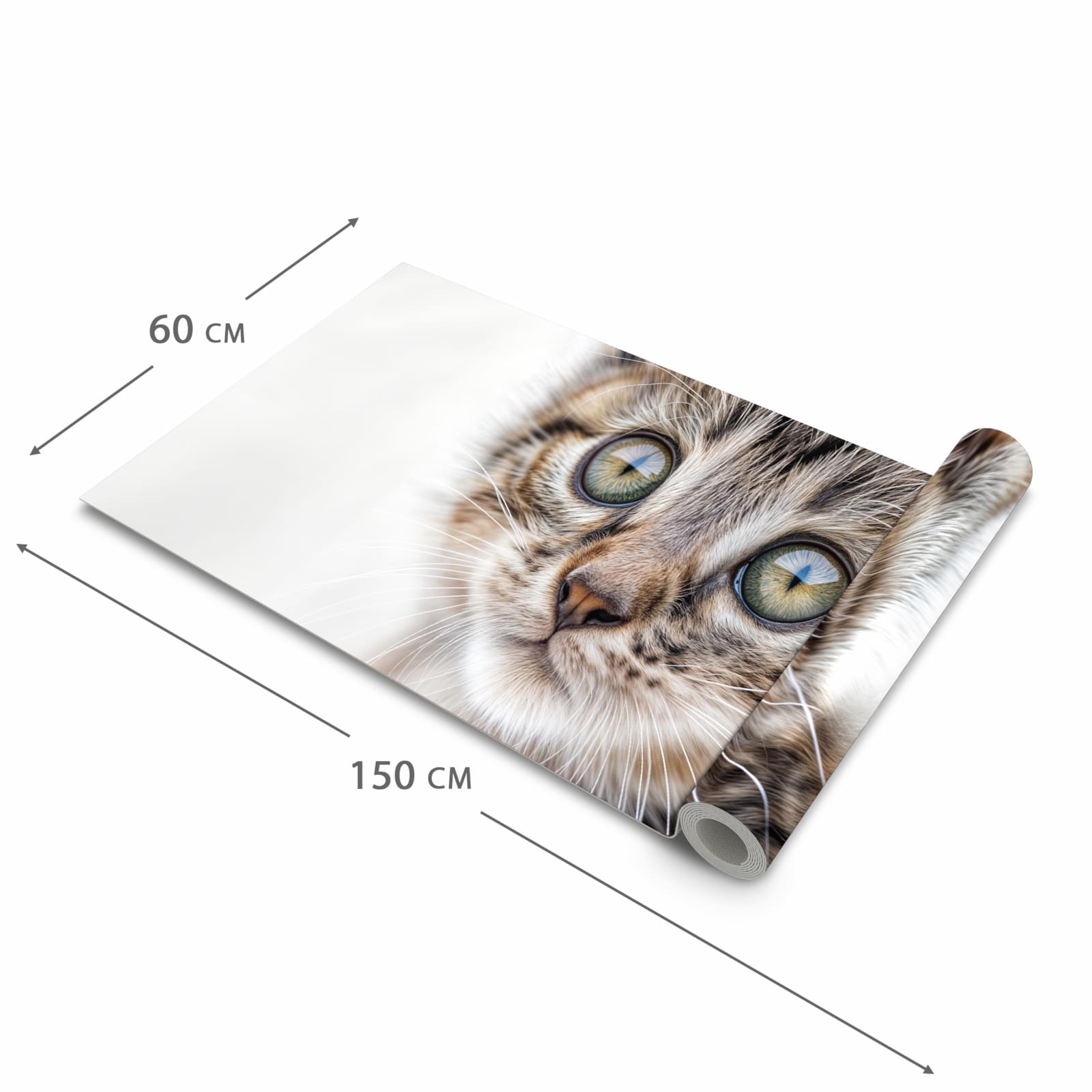 Fleckenresistenter Küchenteppich mit Motiv Katzenjunges trittin in der Grösse 60x120 cm