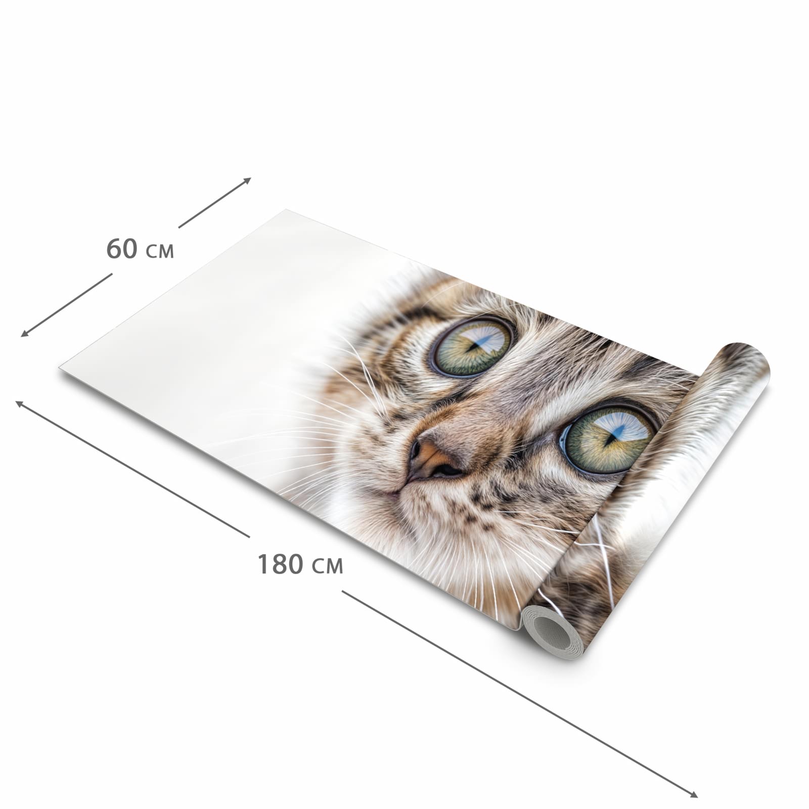 Schmutzabweisender Läufer für die Küche mit Motiv Katzenjunges trittin in der Grösse 60x120 cm