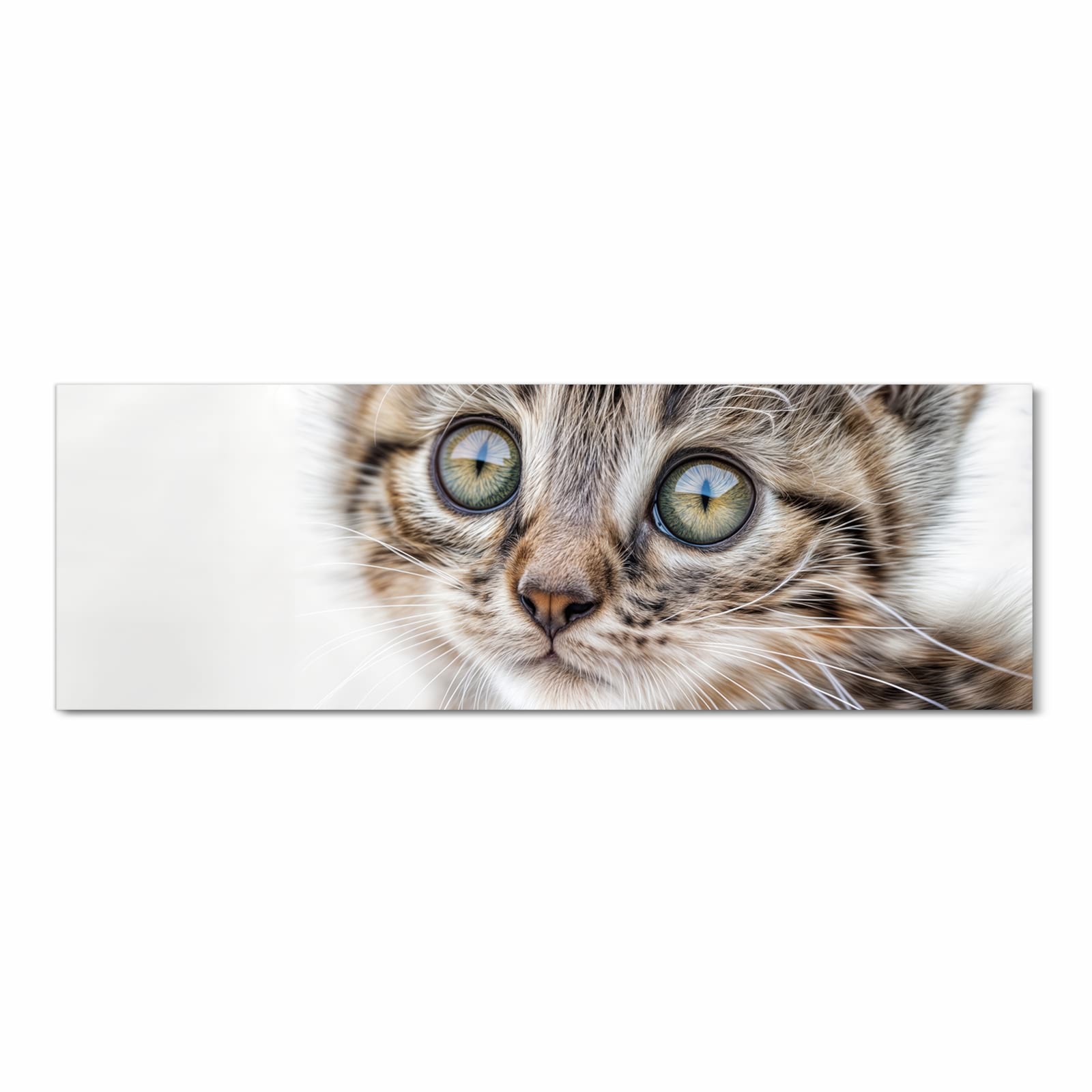 Langlebiger Küchenläufer mit Motiv Katzenjunges trittin in Frontansicht, waschbar