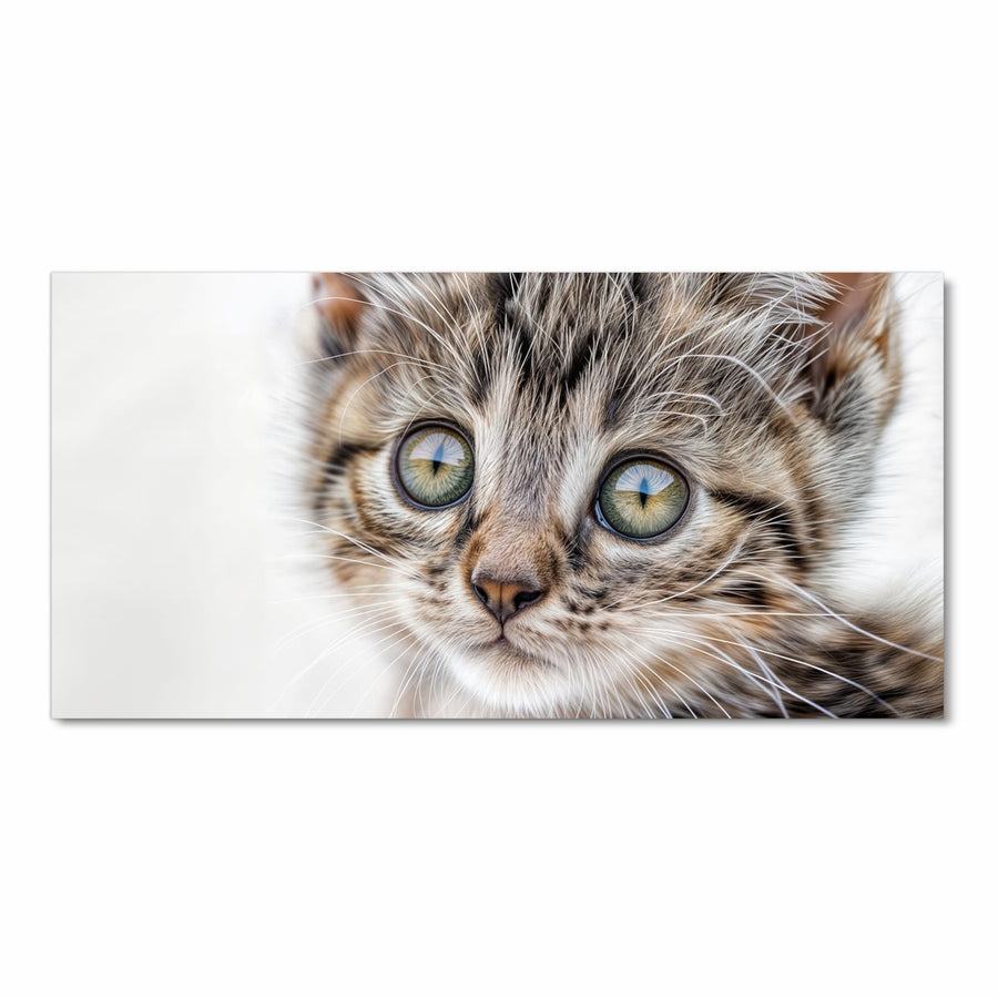 Maße Küchenläufer - Neugieriges Katzenjunges