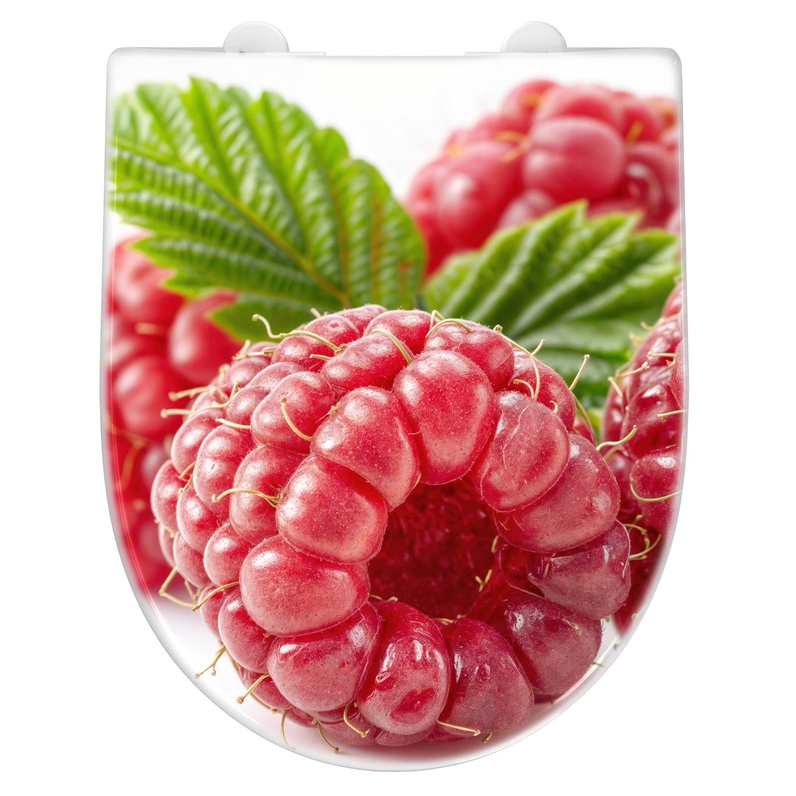 WC-Sitz mit Absenkautomatik Himbeeren von Frische