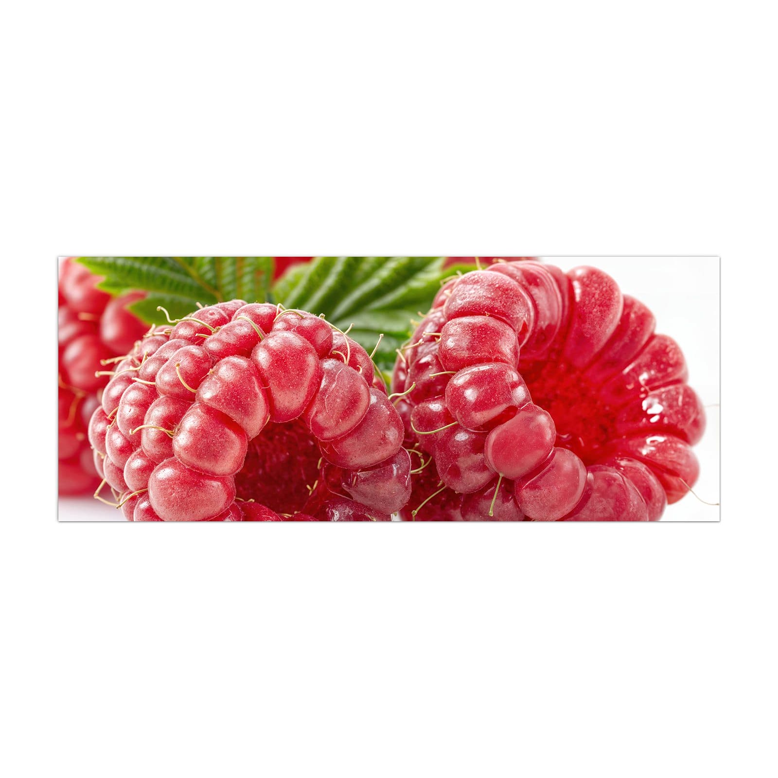 #grösse_40 x 100 cm #grösse_50 x 125 cm #grösse_60 x 150 cm