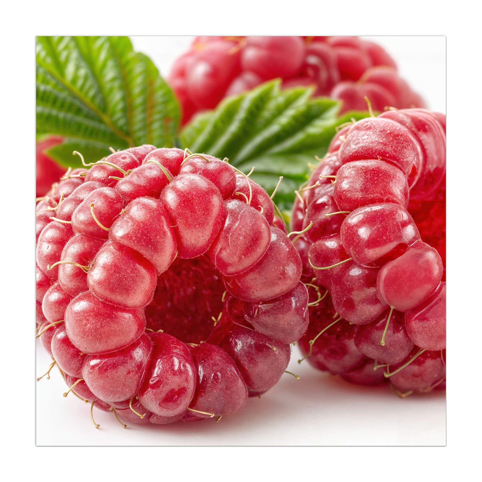 #grösse_40 x 40 cm #grösse_50 x 50 cm #grösse_55 x 55 cm #grösse_60 x 60 cm #grösse_65 x 65 cm #grösse_70 x 70 cm