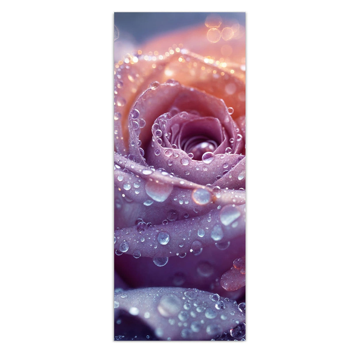 Wandbild - Lila Rose im Tau - Hochformat – Lila Rose mit funkelnden Tropfen