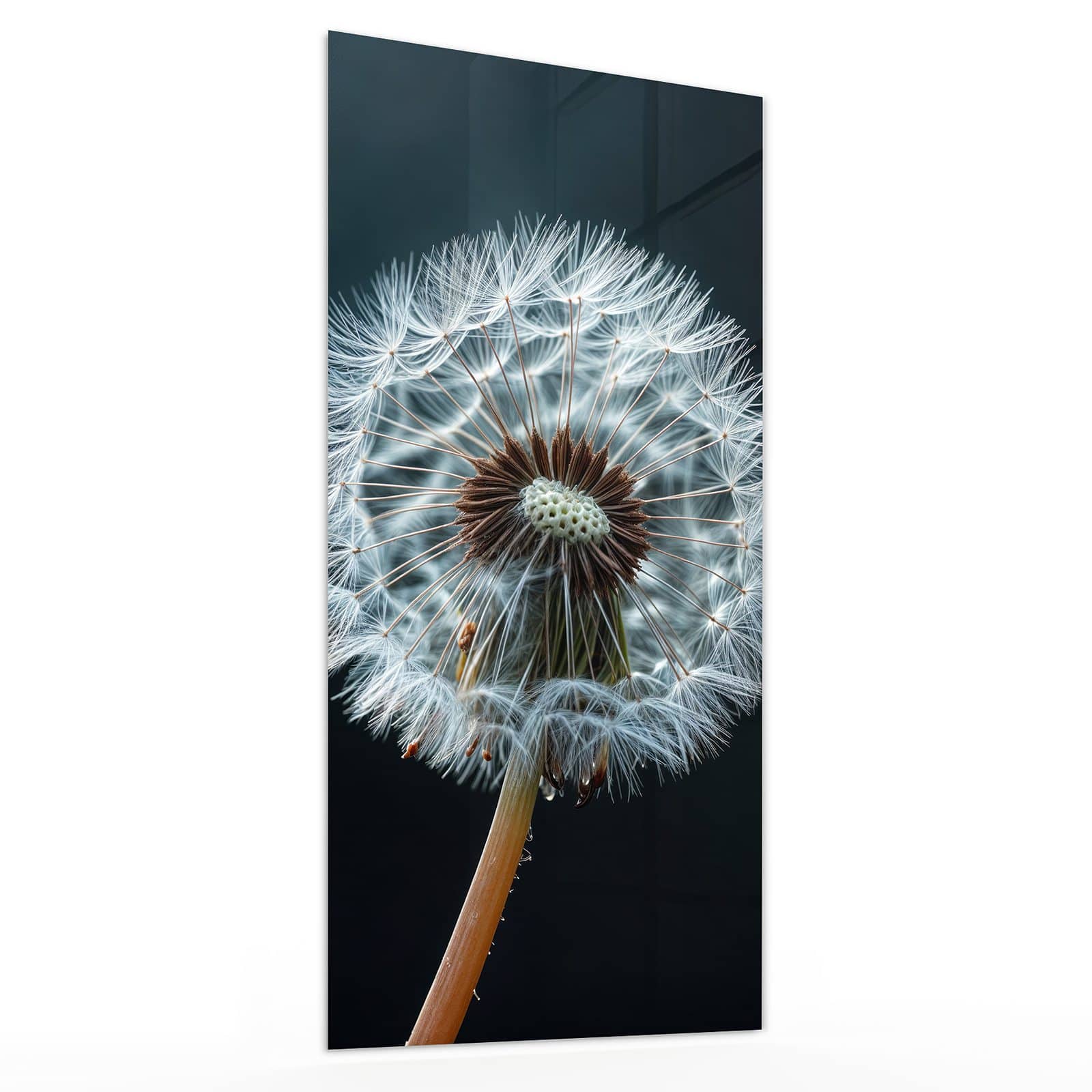 #grösse_30 x 60 cm #grösse_40 x 80 cm #grösse_50 x 100 cm #grösse_55 x 110 cm #grösse_60 x 120 cm