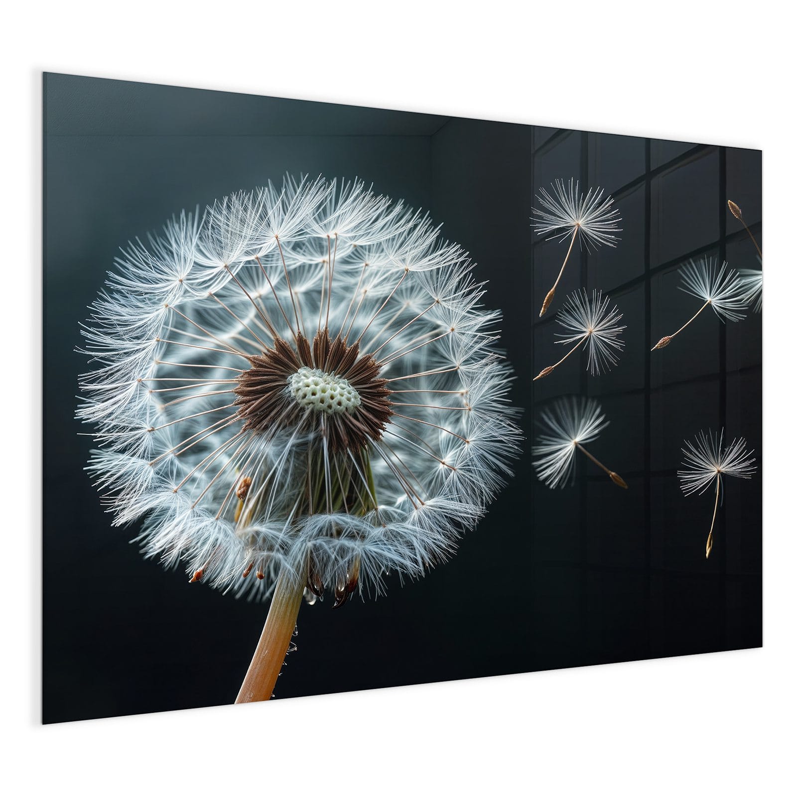 #grösse_120 x 90 cm