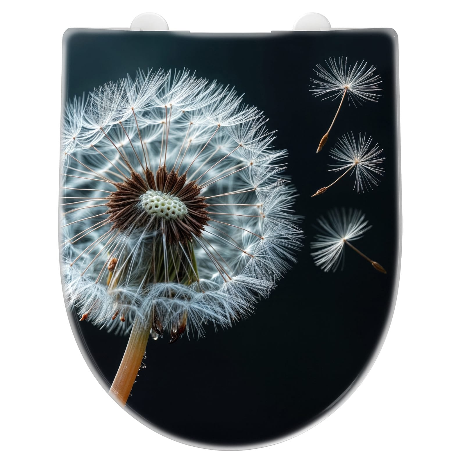 WC-Sitz mit Absenkautomatik Pusteblume bei Wind