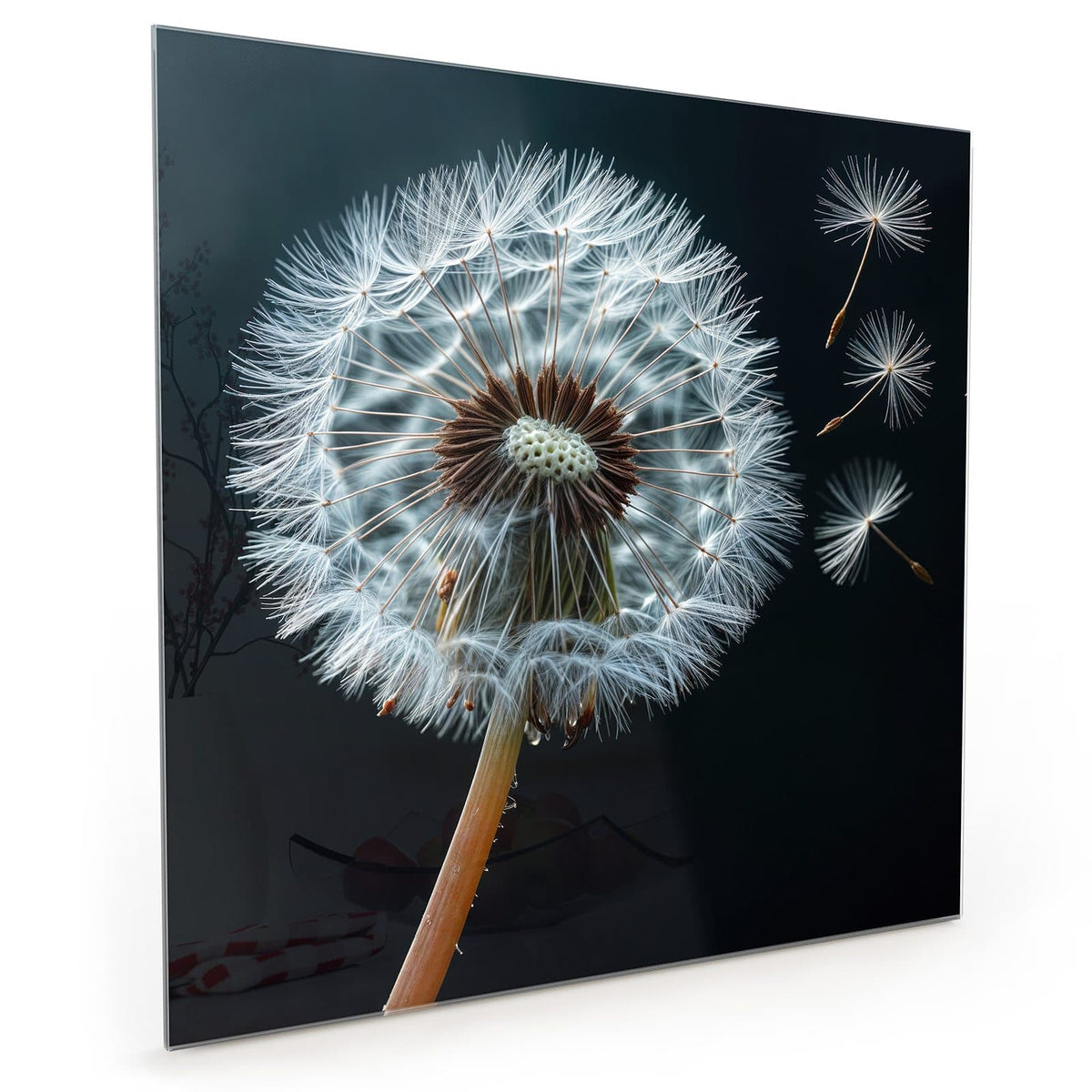 Küchenrückwand aus Glas im quadratischen Format: Eine große Pusteblume vor fast schwarzem Grund, drei Samen fliegen nach rechts weg