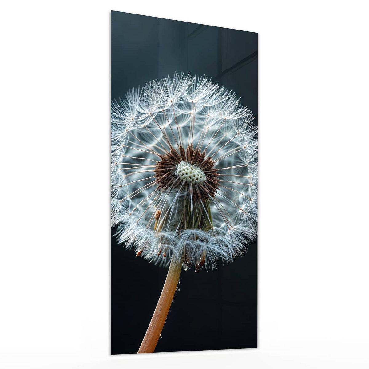 Glasbild Fliegende Pusteblume von der Seite, 4 mm Echtglas