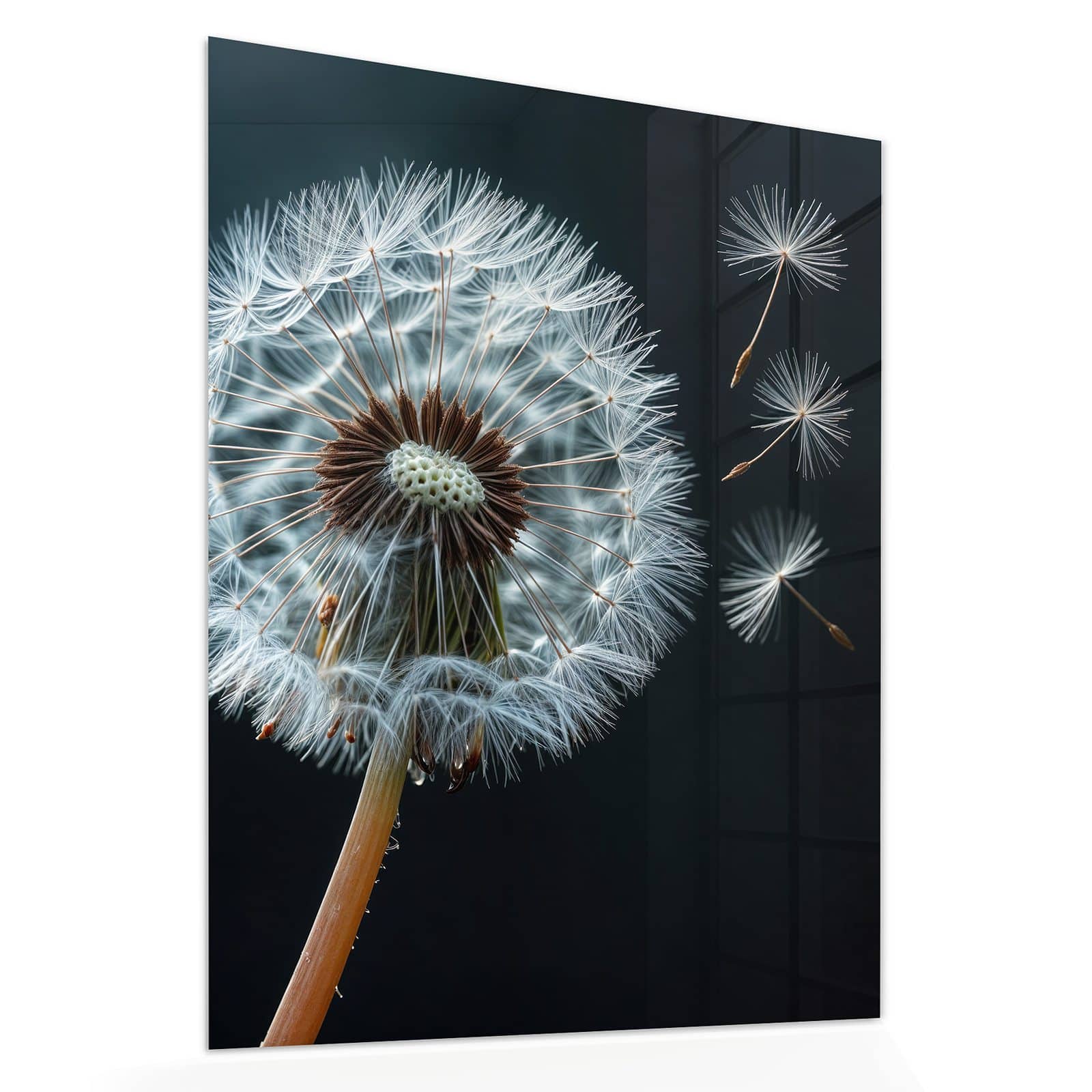 #grösse_60 x 75 cm #grösse_80 x 100 cm