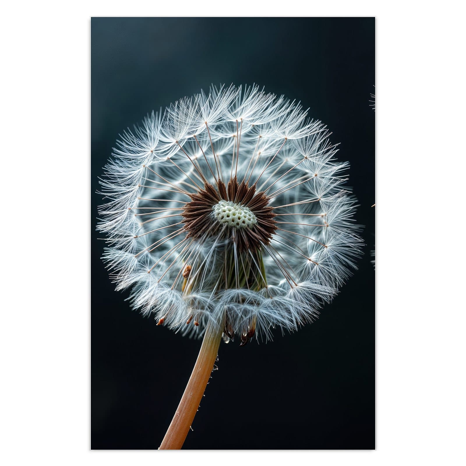 #grösse_40 x 60 cm #grösse_50 x 75 cm #grösse_60 x 90 cm