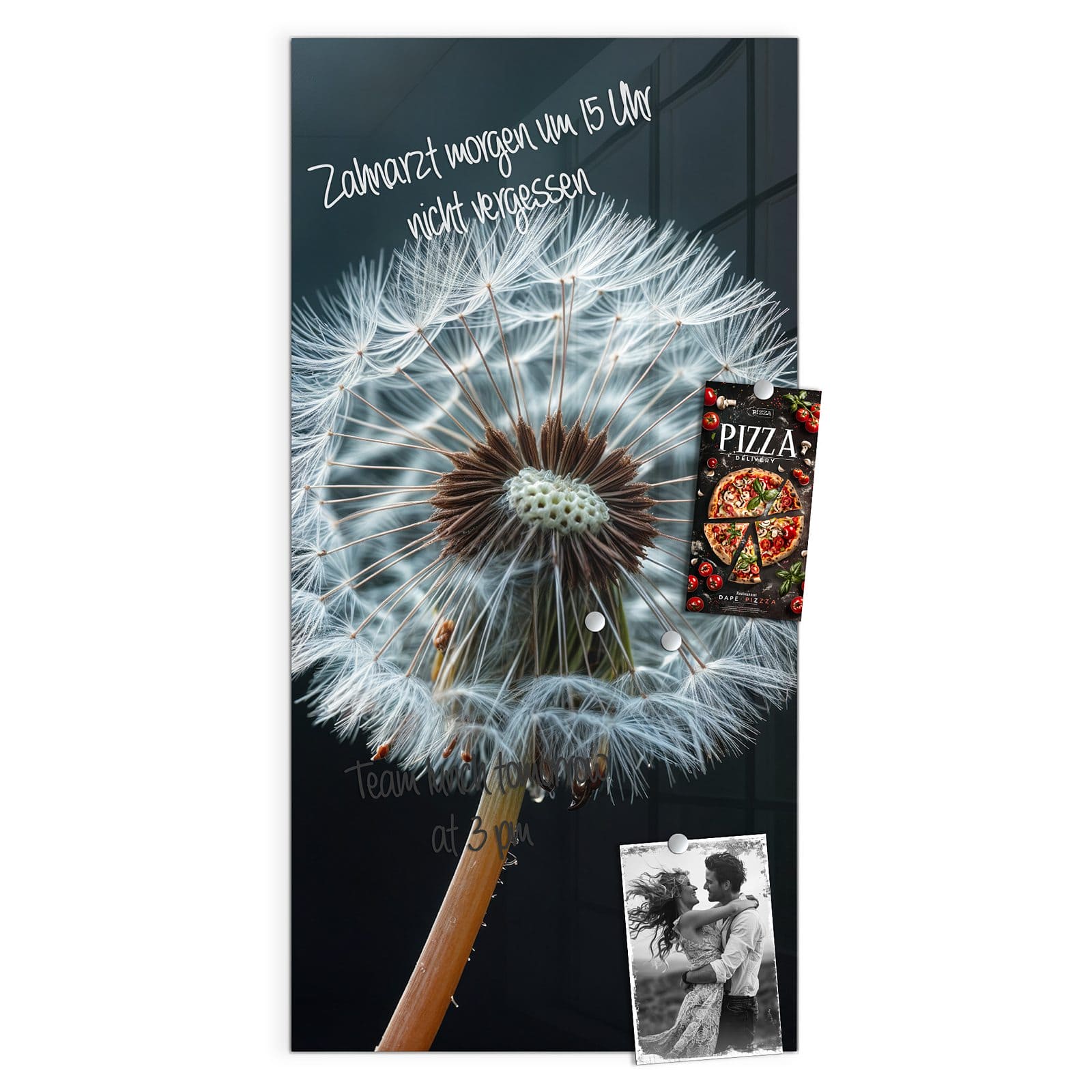 #grösse_50 x 100 cm