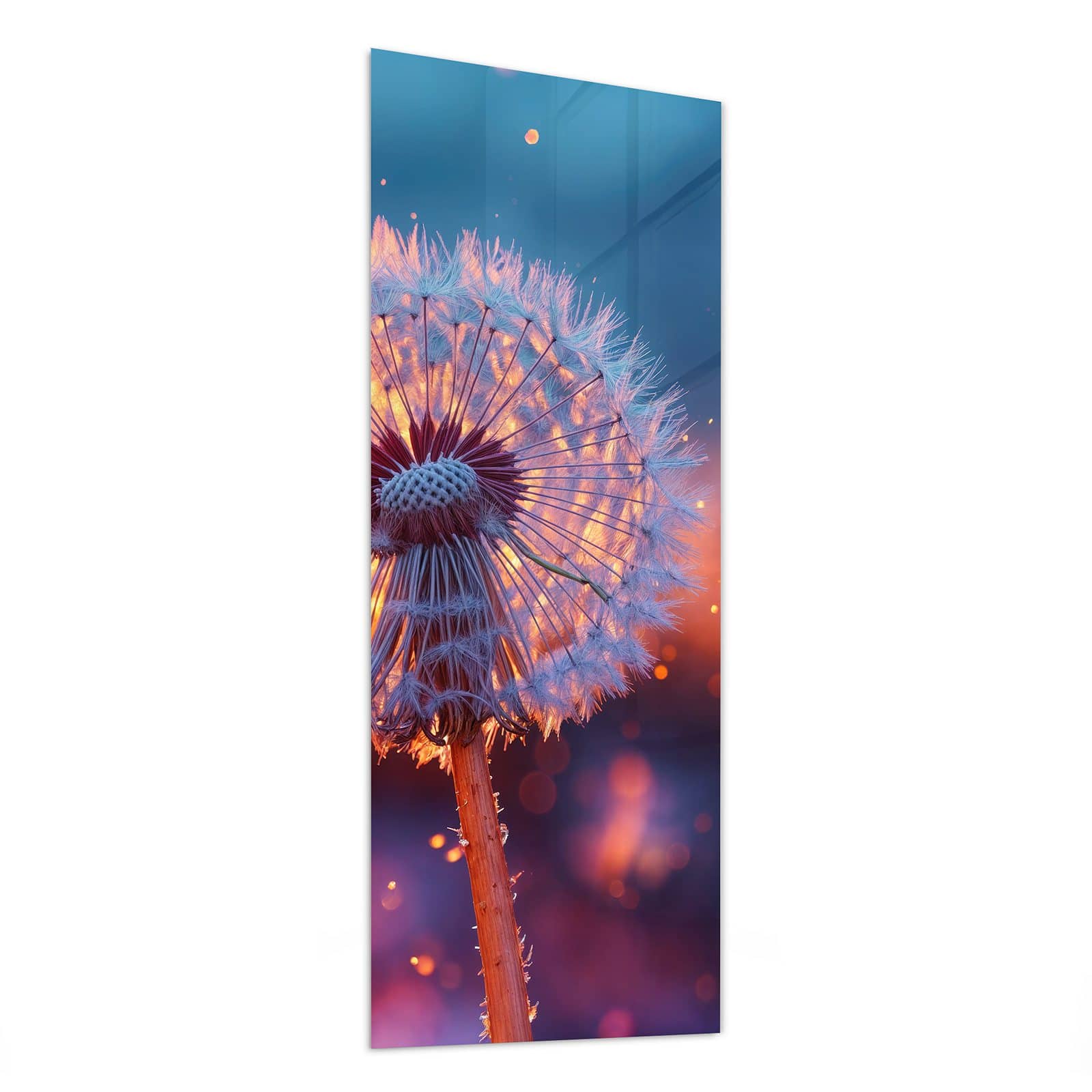 #grösse_50 x 125 cm #grösse_40 x 100 cm #grösse_60 x 150 cm