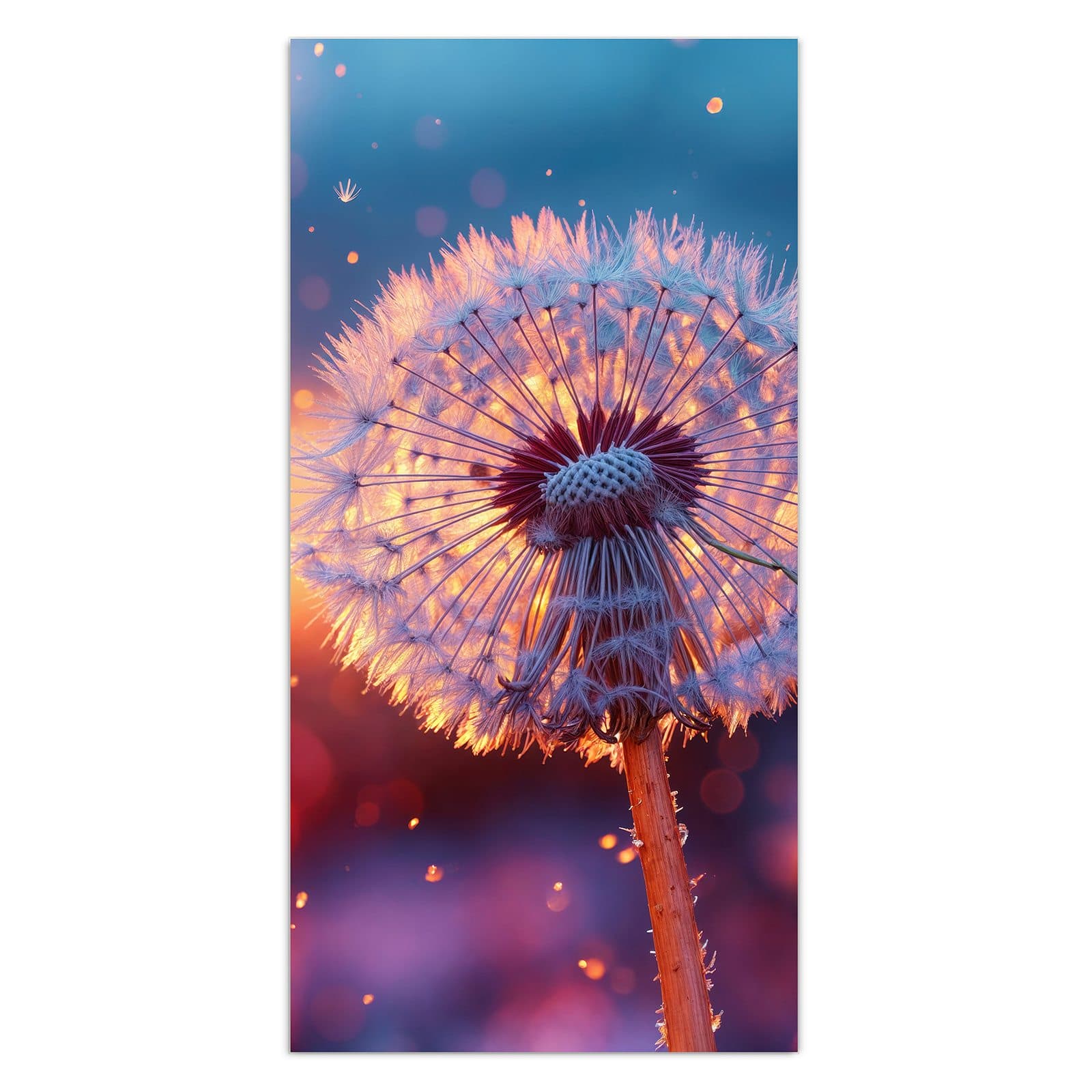 #grösse_30 x 60 cm #grösse_40 x 80 cm #grösse_50 x 100 cm #grösse_55 x 110 cm #grösse_60 x 120 cm