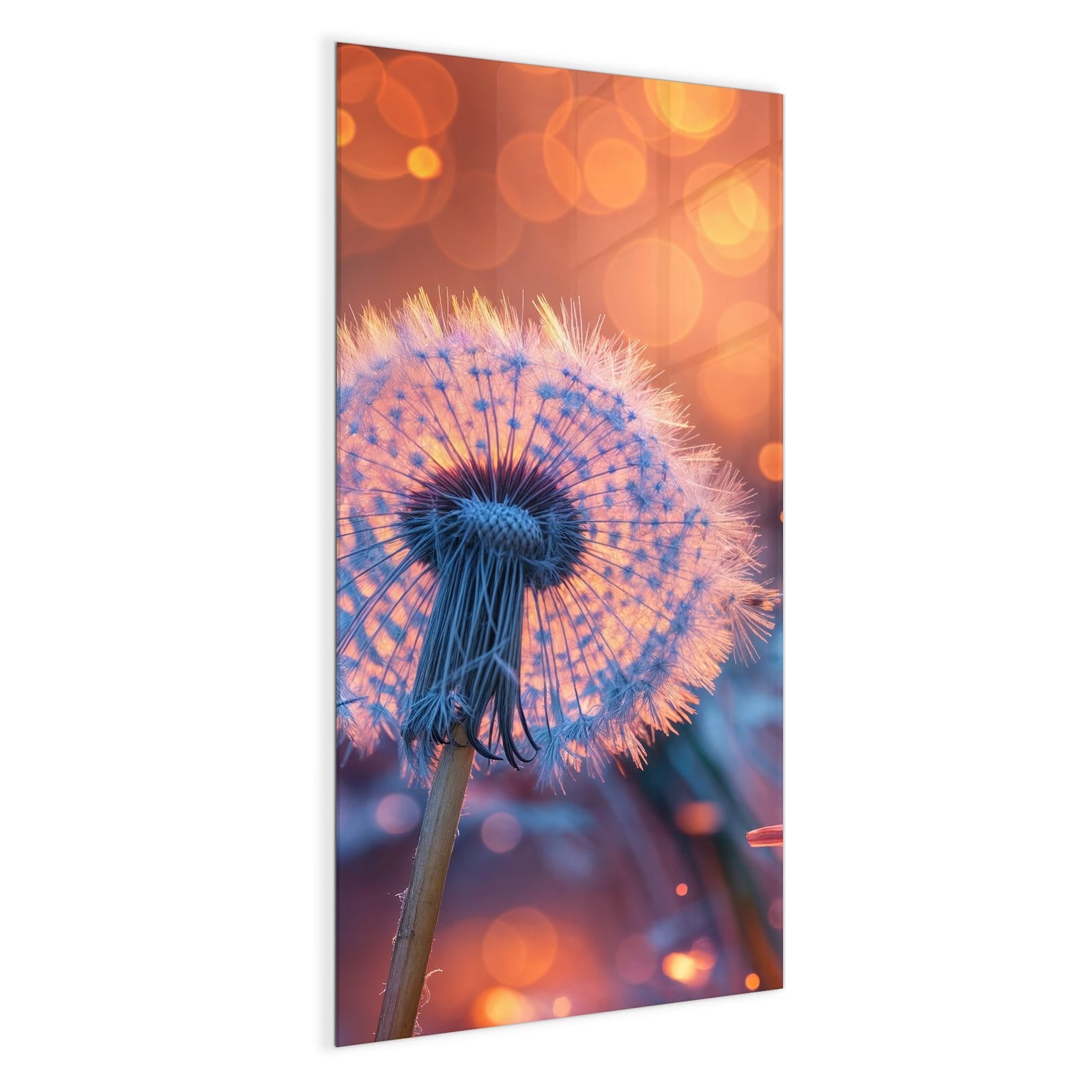 #grösse_50 x 100 cm