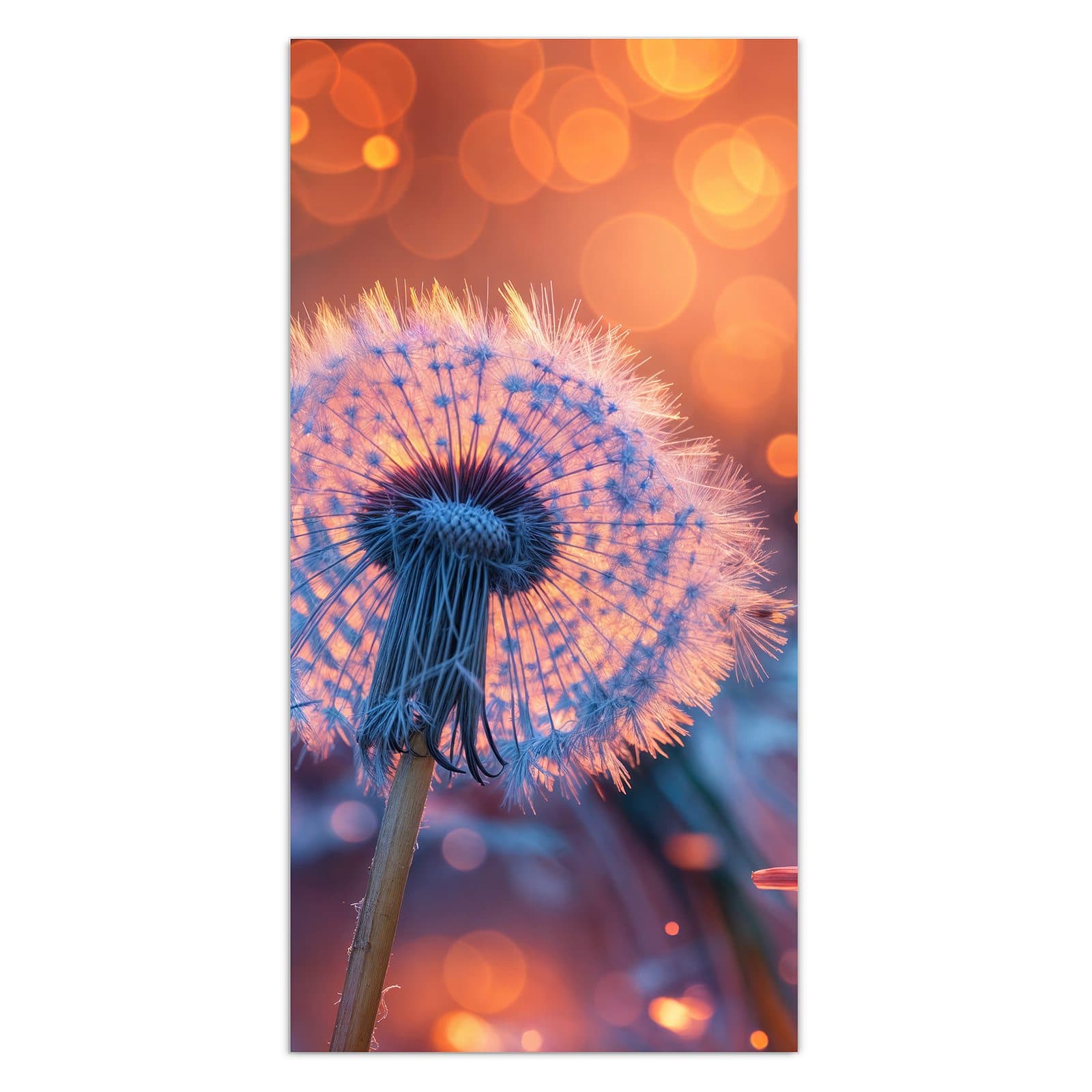 #grösse_30 x 60 cm #grösse_40 x 80 cm #grösse_50 x 100 cm #grösse_55 x 110 cm #grösse_60 x 120 cm