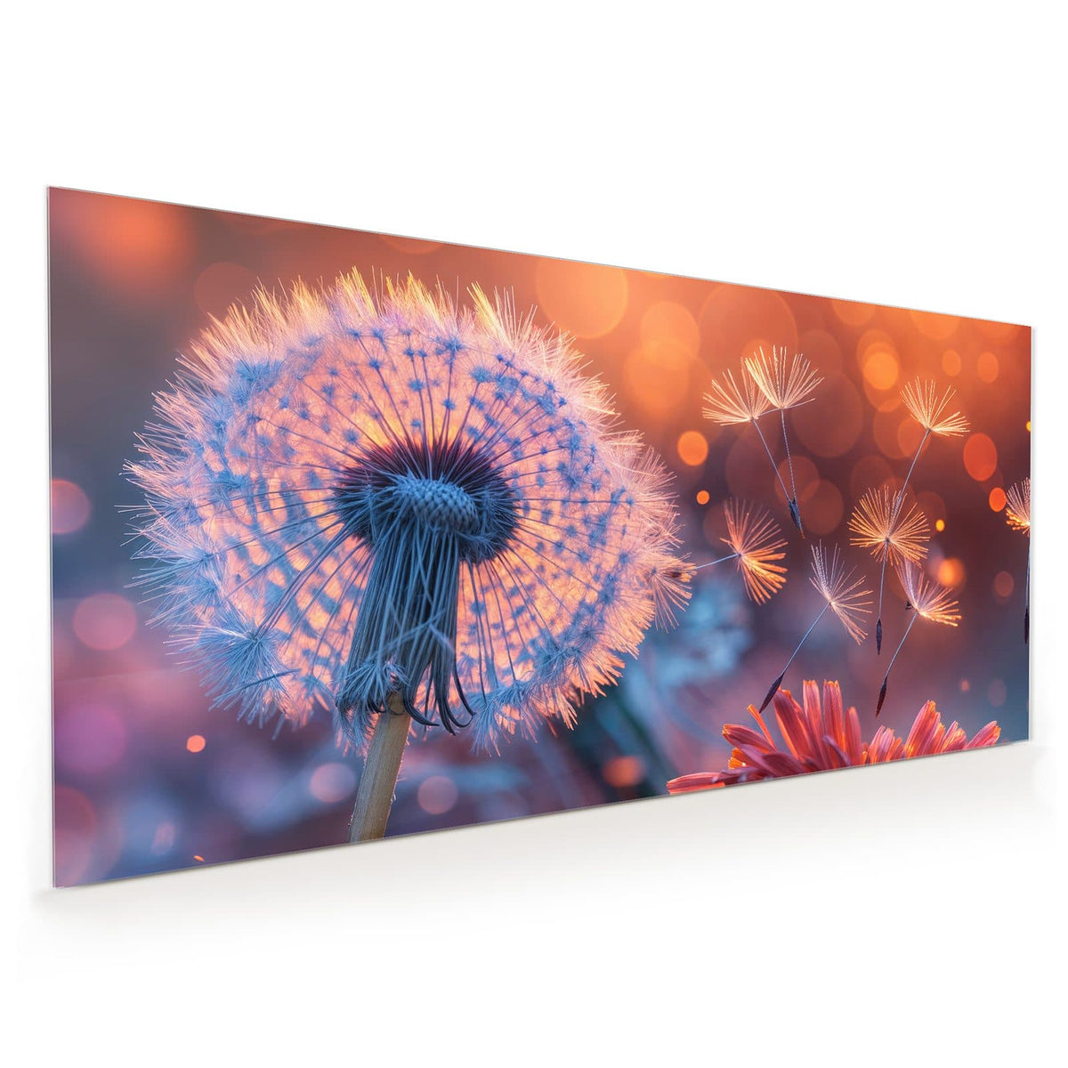 Küchenrückwand aus Glas im Hochformat mit Motiv Glühende Pusteblume: Pusteblume im Gegenlicht, davonfliegende Samen leuchten orange vor warmem Bokeh