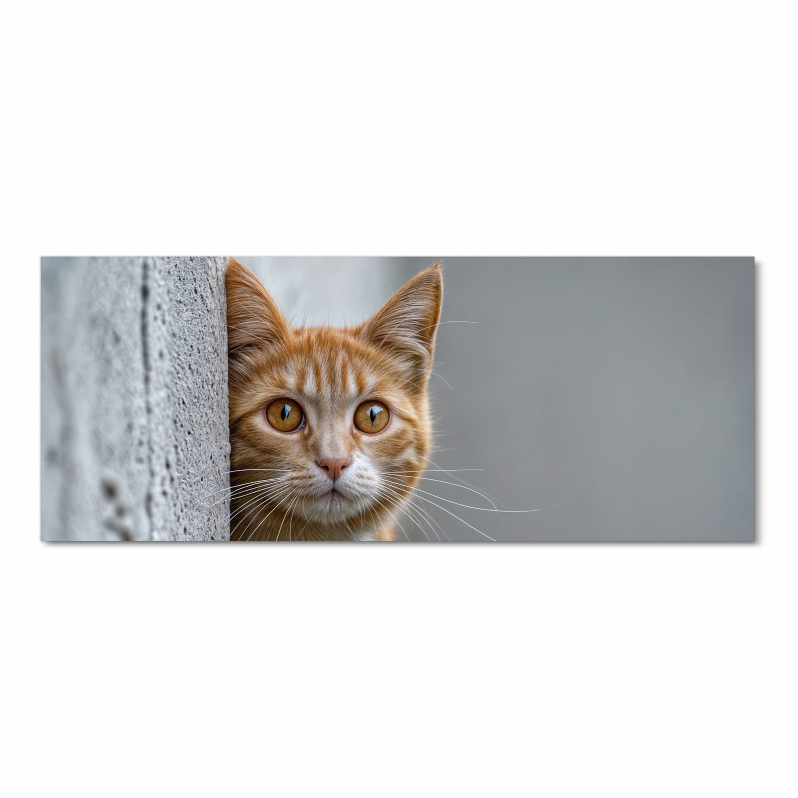 Ordnungsschaffender Küchenteppich mit Motiv Neugierige Katze in Frontansicht für Übersicht