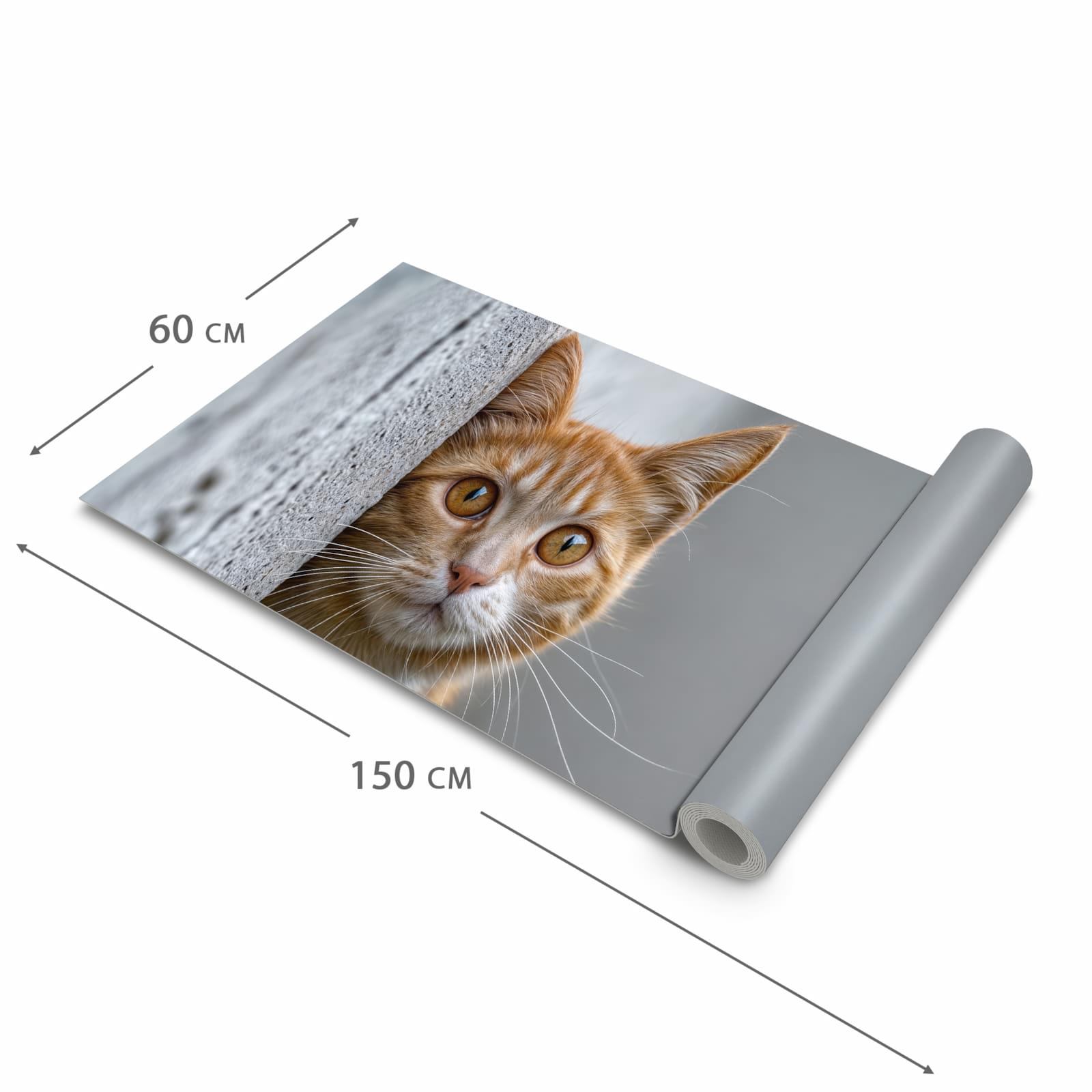 Waschbarer Küchenteppich mit Motiv Neugierige Katze in der Größe 80x200 cm