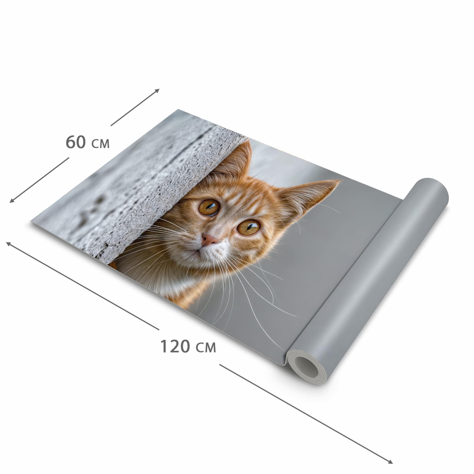 Strapazierfähiger abwaschbarer Küchenläufer mit Motiv Neugierige Katze in der Größe 80x200 cm