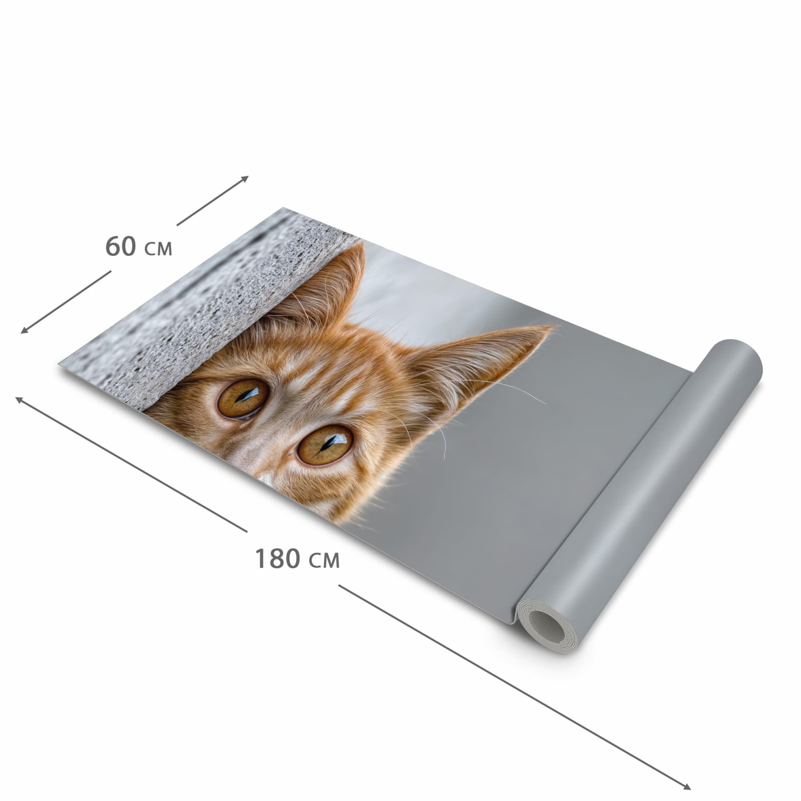 Langlebiger Küchenläufer mit Motiv Neugierige Katze in der Grösse 80x200 cm