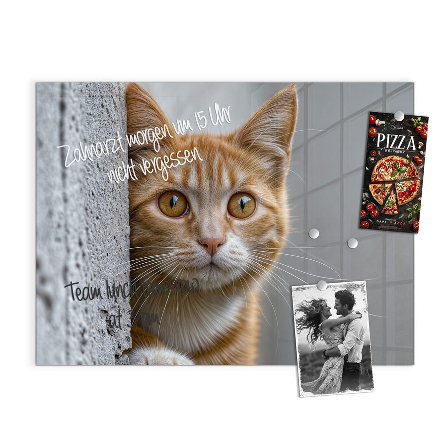 Maße Magnettafel - Katze hinter der Mauer