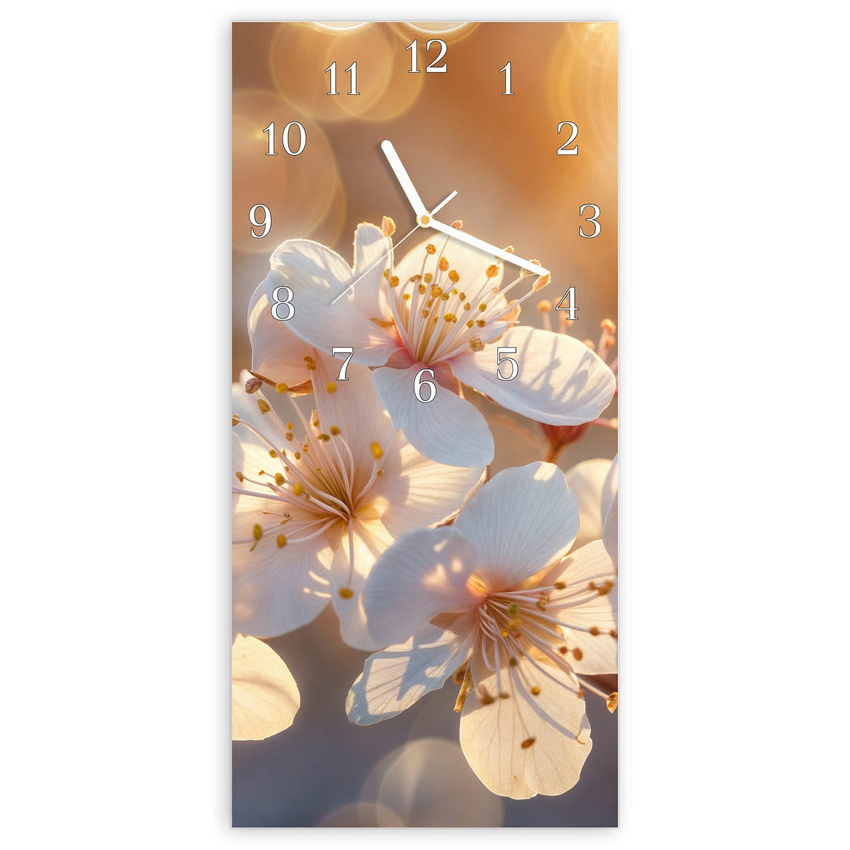 Wanduhr aus Glas, Ziffernblatt Klassisch: Weiß-cremefarbene Kirschblüten in warmem goldenem Gegenlicht #ziffernblatt_Klassisch