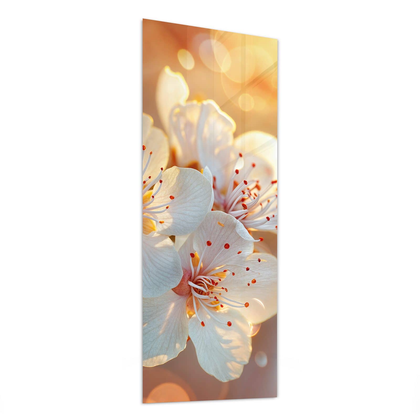 #grösse_50 x 125 cm #grösse_40 x 100 cm #grösse_60 x 150 cm