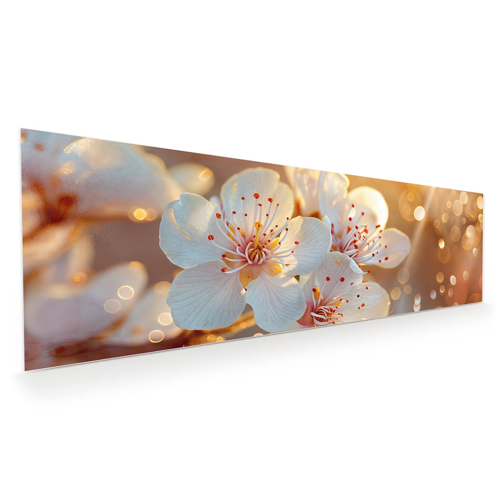 #grösse_120 x 40 cm