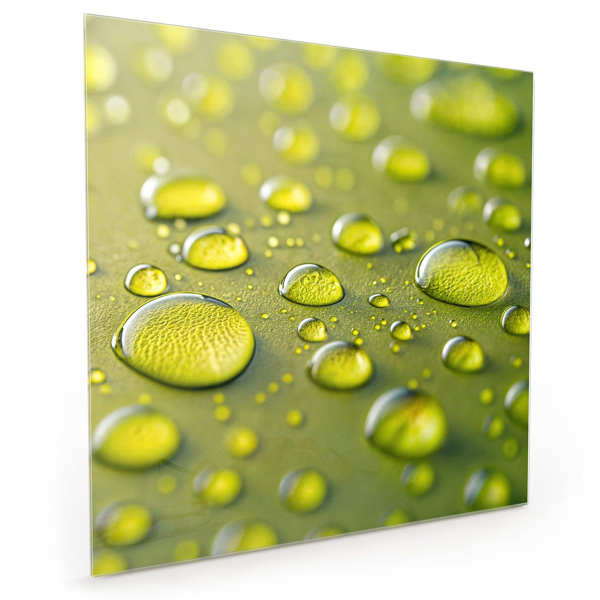 Küchenrückwand aus Glas im quadratischen Format: Makroaufnahme großer, klarer Tropfen auf olivgrüner Oberfläche, Hintergrund unscharf #grösse_40 x 40 cm #grösse_50 x 50 cm #grösse_60 x 60 cm