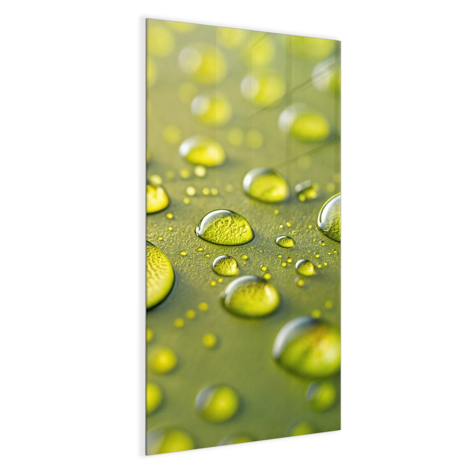 #grösse_50 x 100 cm