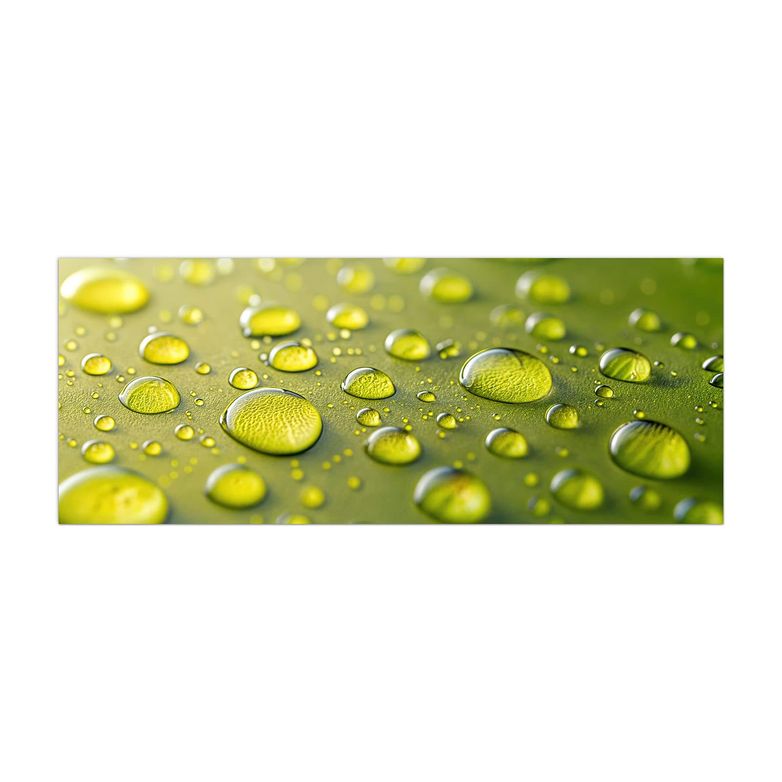 #grösse_40 x 100 cm #grösse_50 x 125 cm #grösse_60 x 150 cm