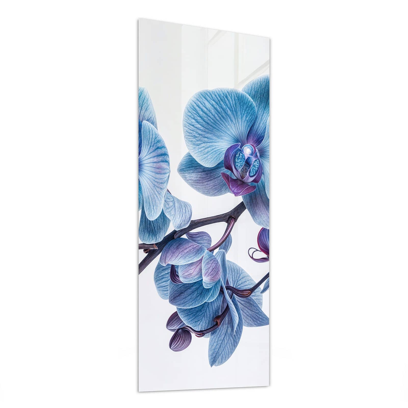 #grösse_50 x 125 cm #grösse_40 x 100 cm #grösse_60 x 150 cm