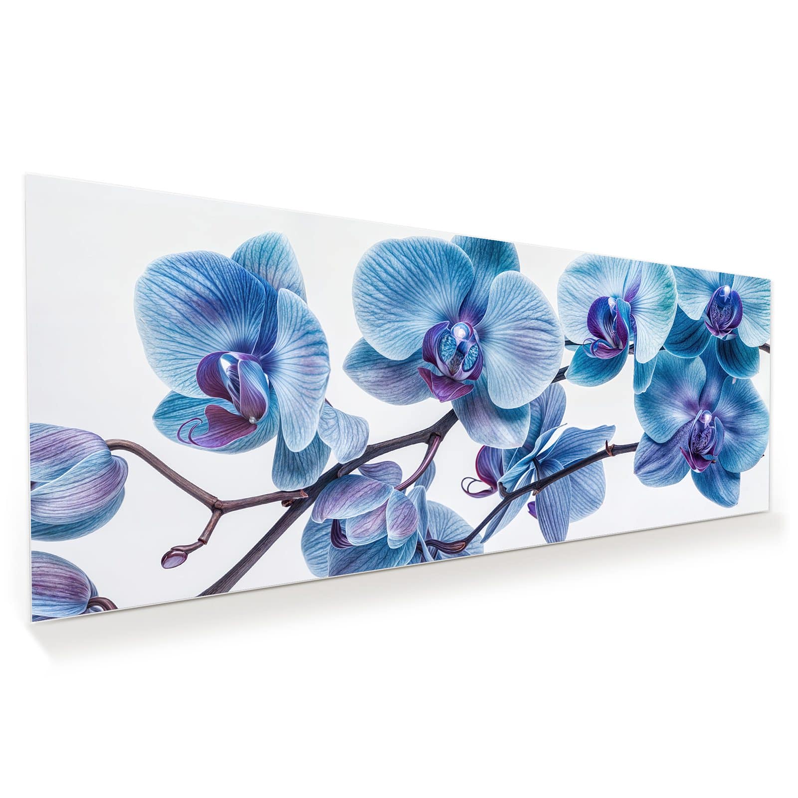 #grösse_100 x 40 cm #grösse_125 x 50 cm #grösse_150 x 60 cm