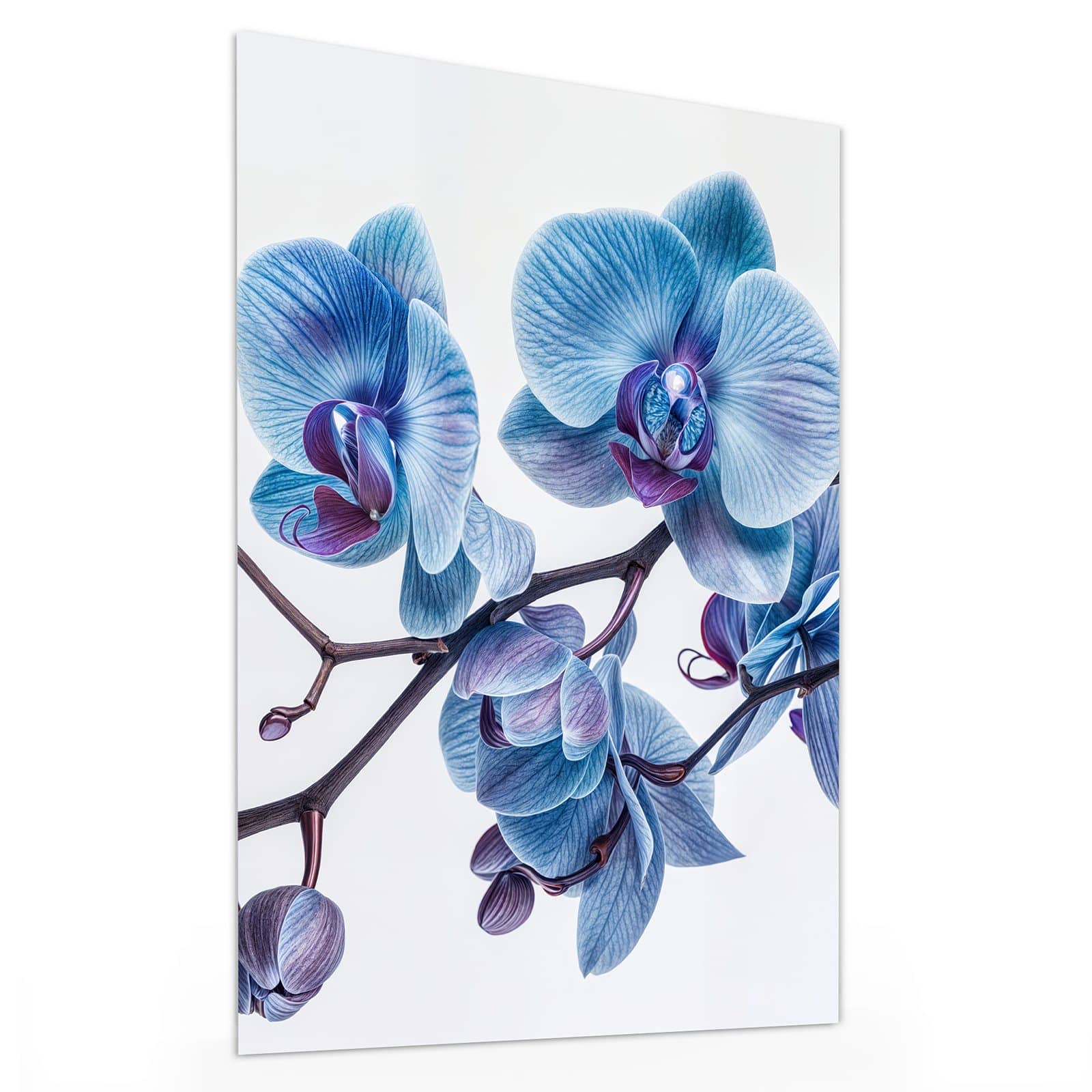 #grösse_30 x 40 cm #grösse_60 x 80 cm #grösse_75 x 100 cm