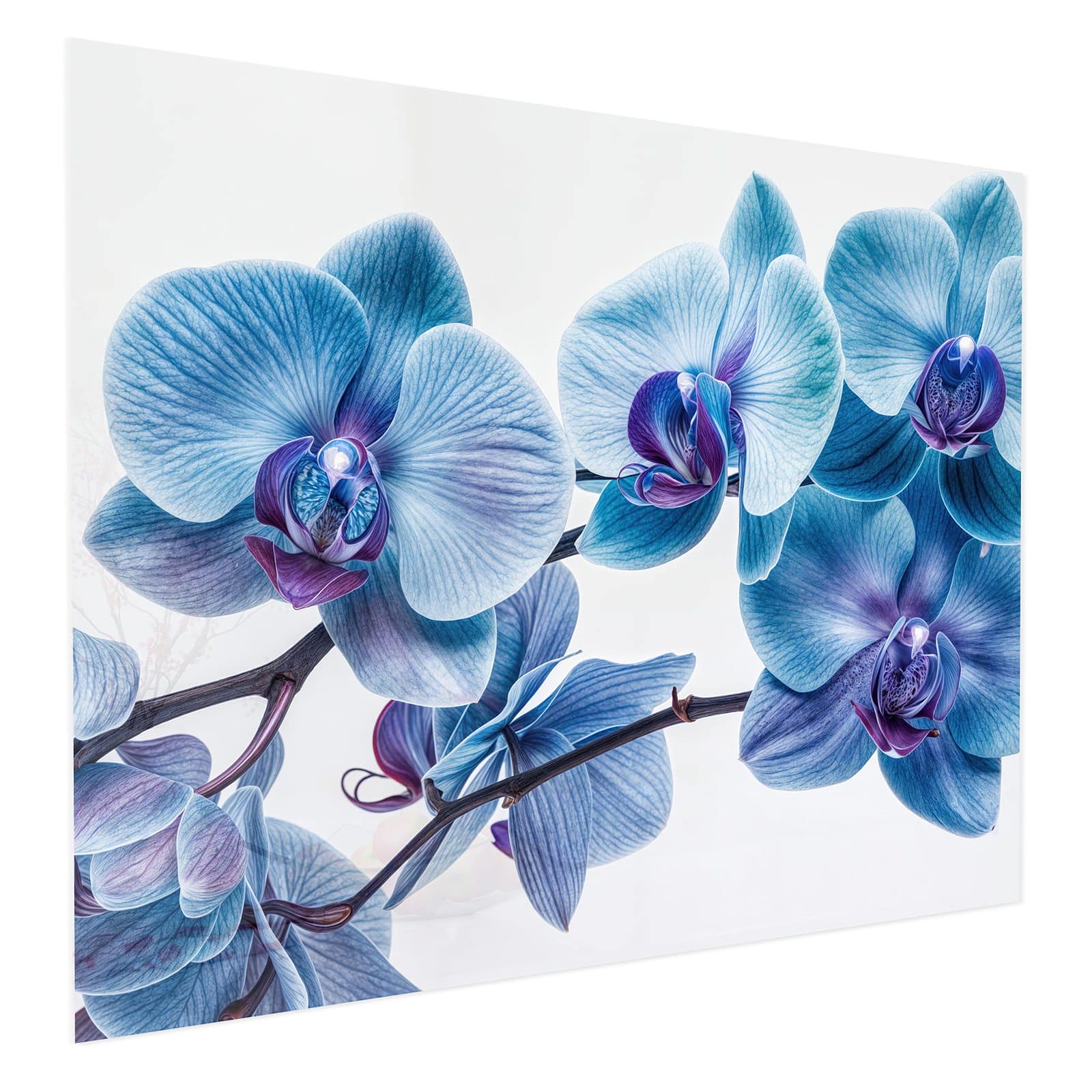 #grösse_75 x 60 cm #grösse_100 x 80 cm