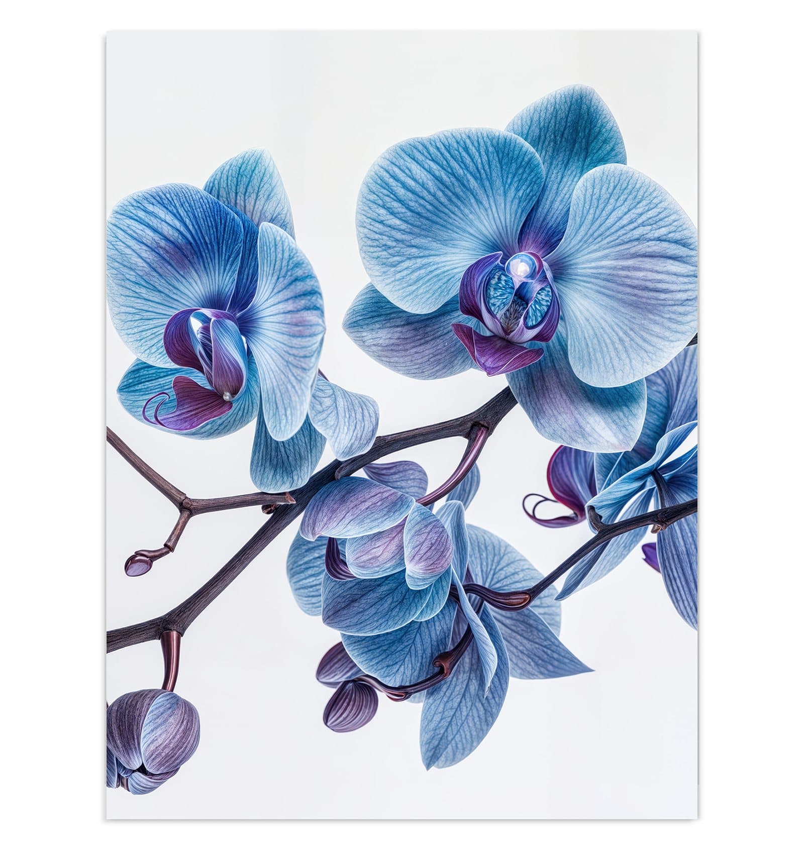 #grösse_30 x 40 cm #grösse_60 x 80 cm #grösse_75 x 100 cm