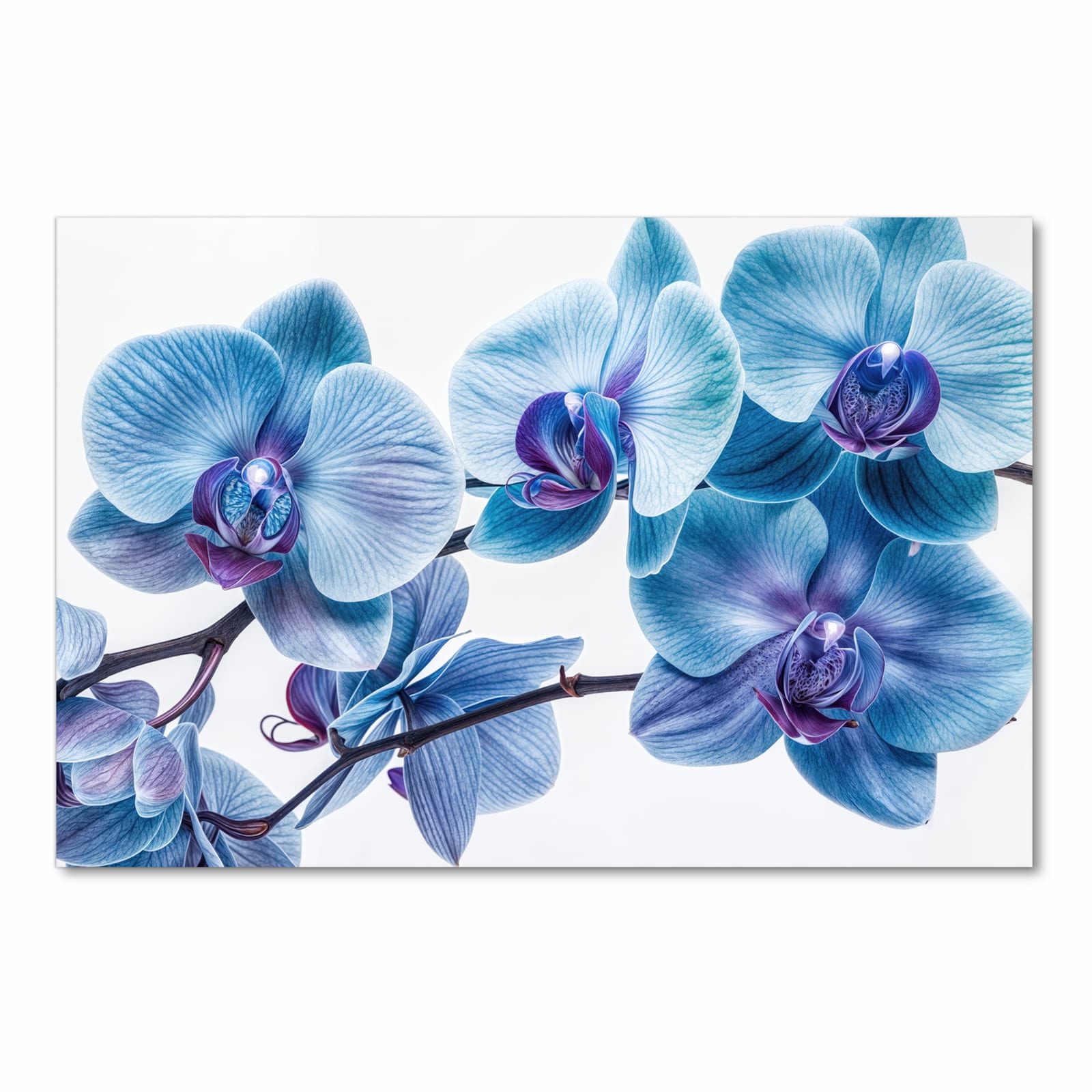 Waschbarer Küchenläufer nach Maß mit Motiv Blaue Orchideen Blüte in Frontansicht