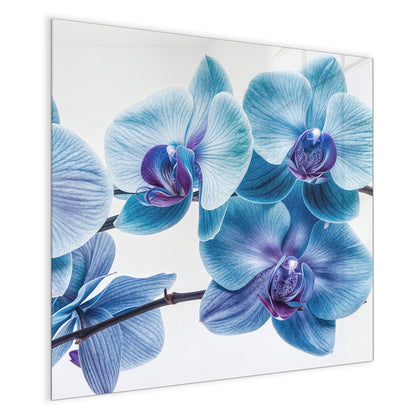 Magnettafel mit dem Motiv Blauviolette Orchidee