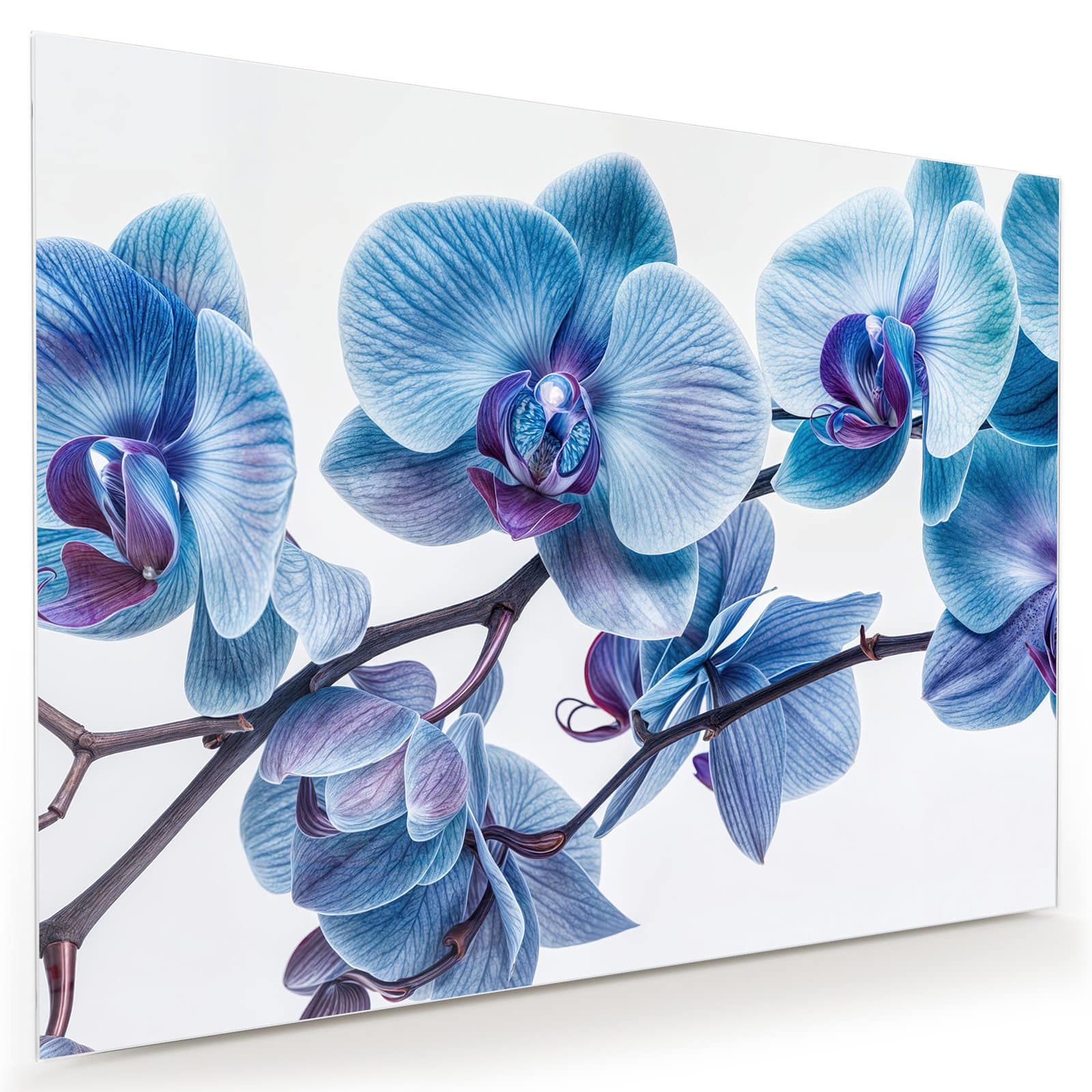 #grösse_80 x 60 cm #grösse_100 x 75 cm #grösse_120 x 90 cm