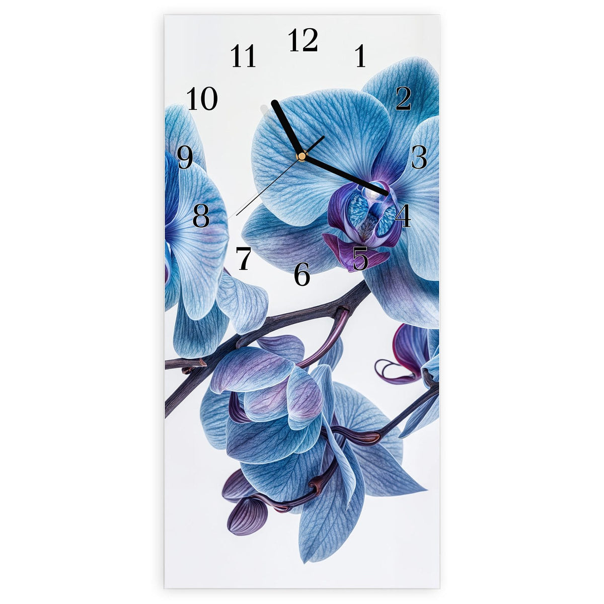 Wanduhr aus Glas, Ziffernblatt Klassisch mit Motiv Blauviolette Orchidee: Orchideenzweig mit blauen Blüten und violetten Lippen vor Weiß #ziffernblatt_Klassisch