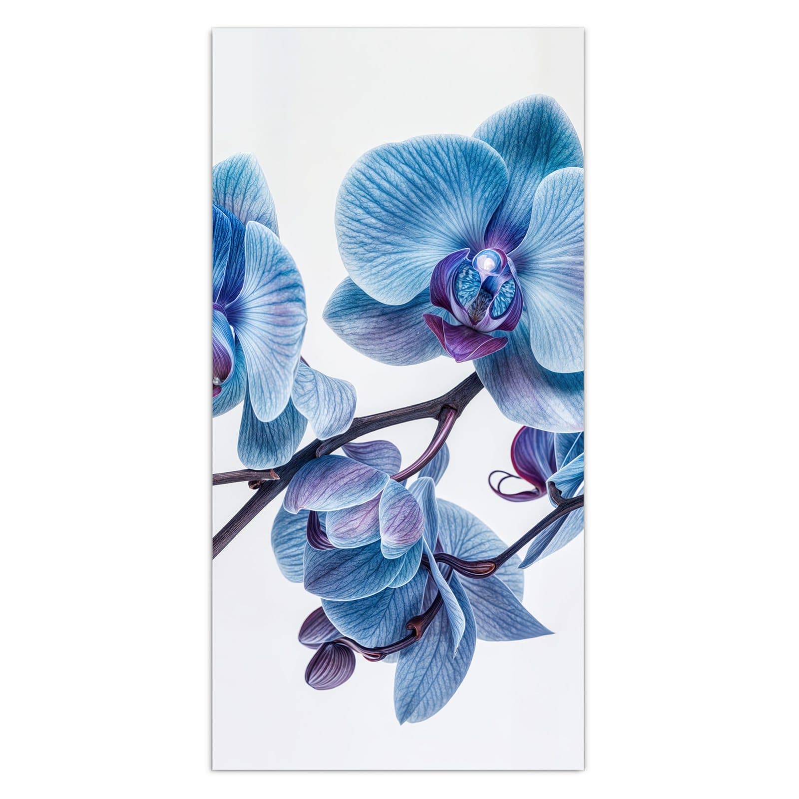 #grösse_30 x 60 cm #grösse_40 x 80 cm #grösse_50 x 100 cm #grösse_55 x 110 cm #grösse_60 x 120 cm