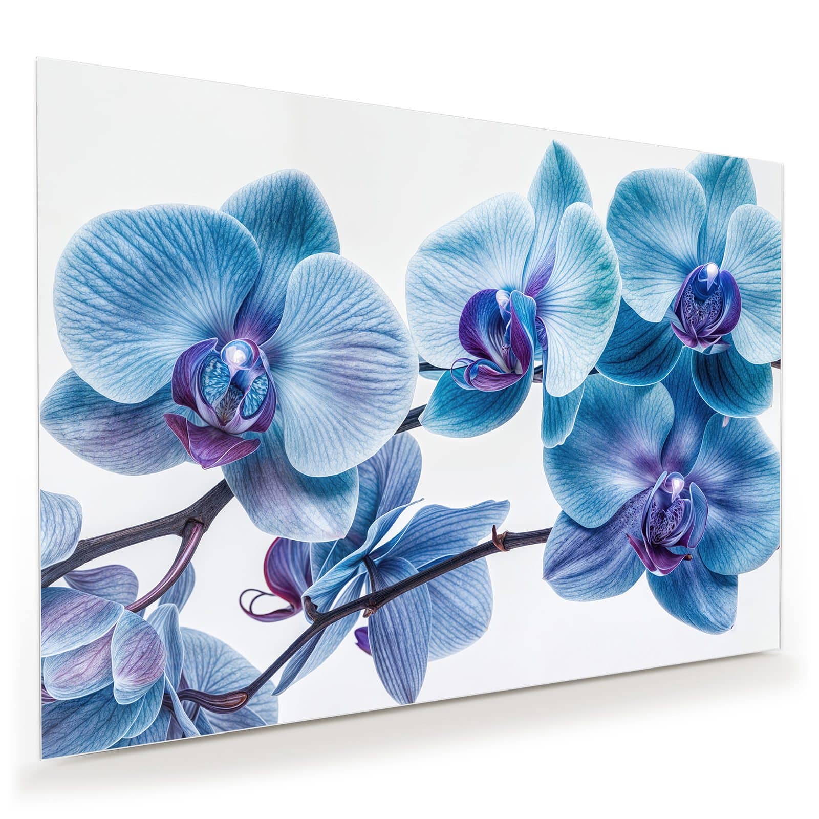 #grösse_100 x 70 cm